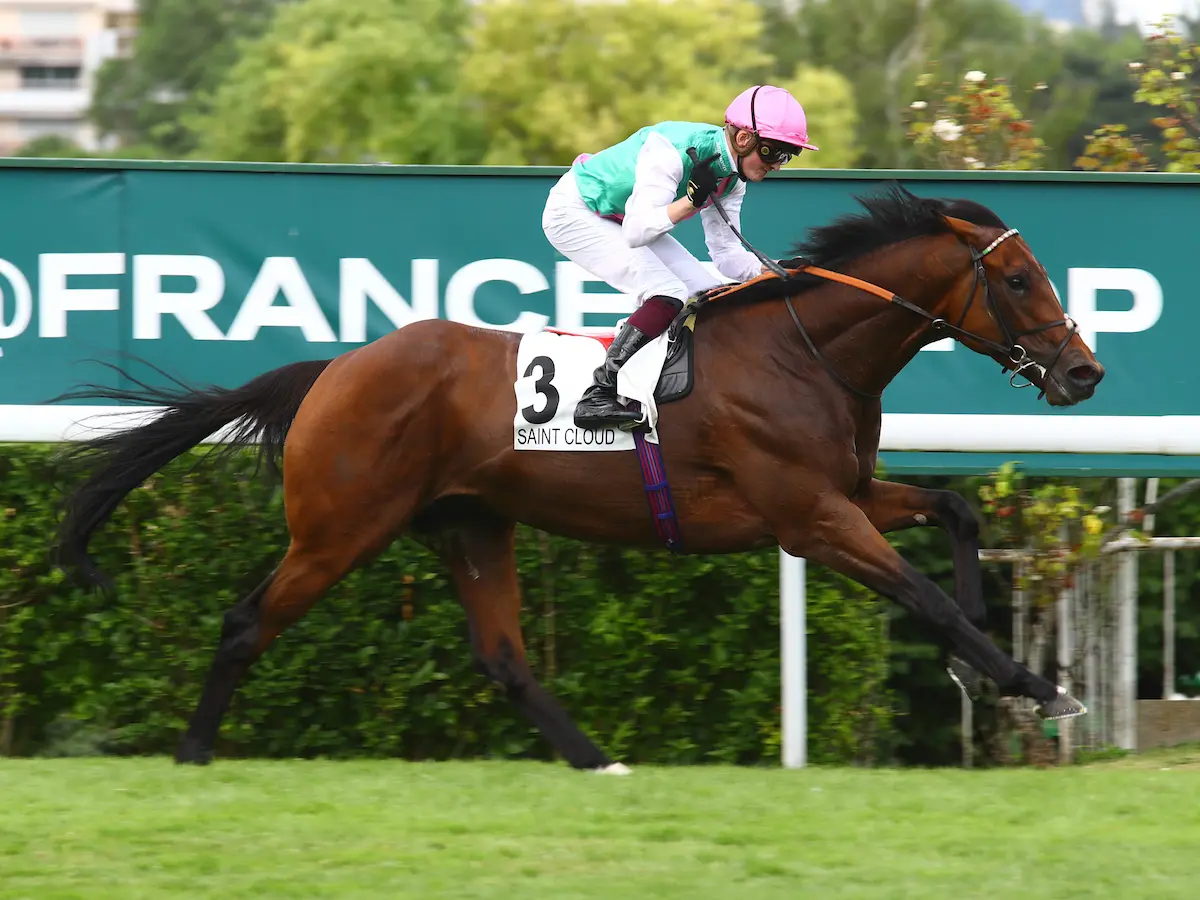 2023 Prix de l'Arc de Triomphe: big-race guide and tip
