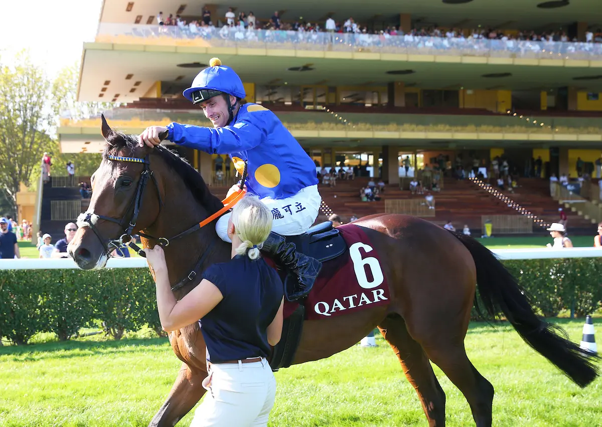 ラウル・デュフィ　LE CHAMP DE COURSES A ASCOT LONGCHAMP FW23 