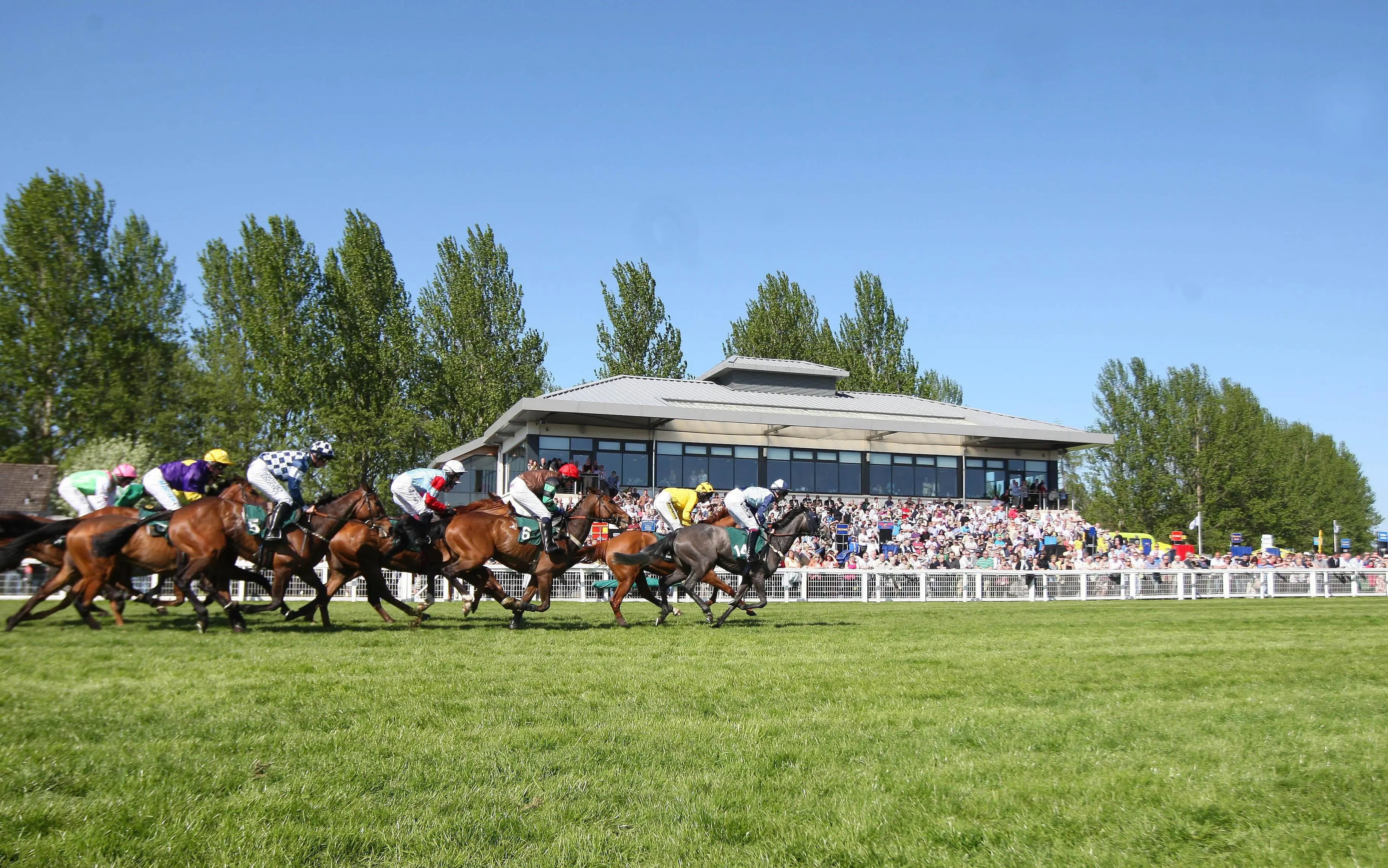 Perth Races Uk Racing TV Scottish September Season Tickets are back: Members Can Enjoy ...
