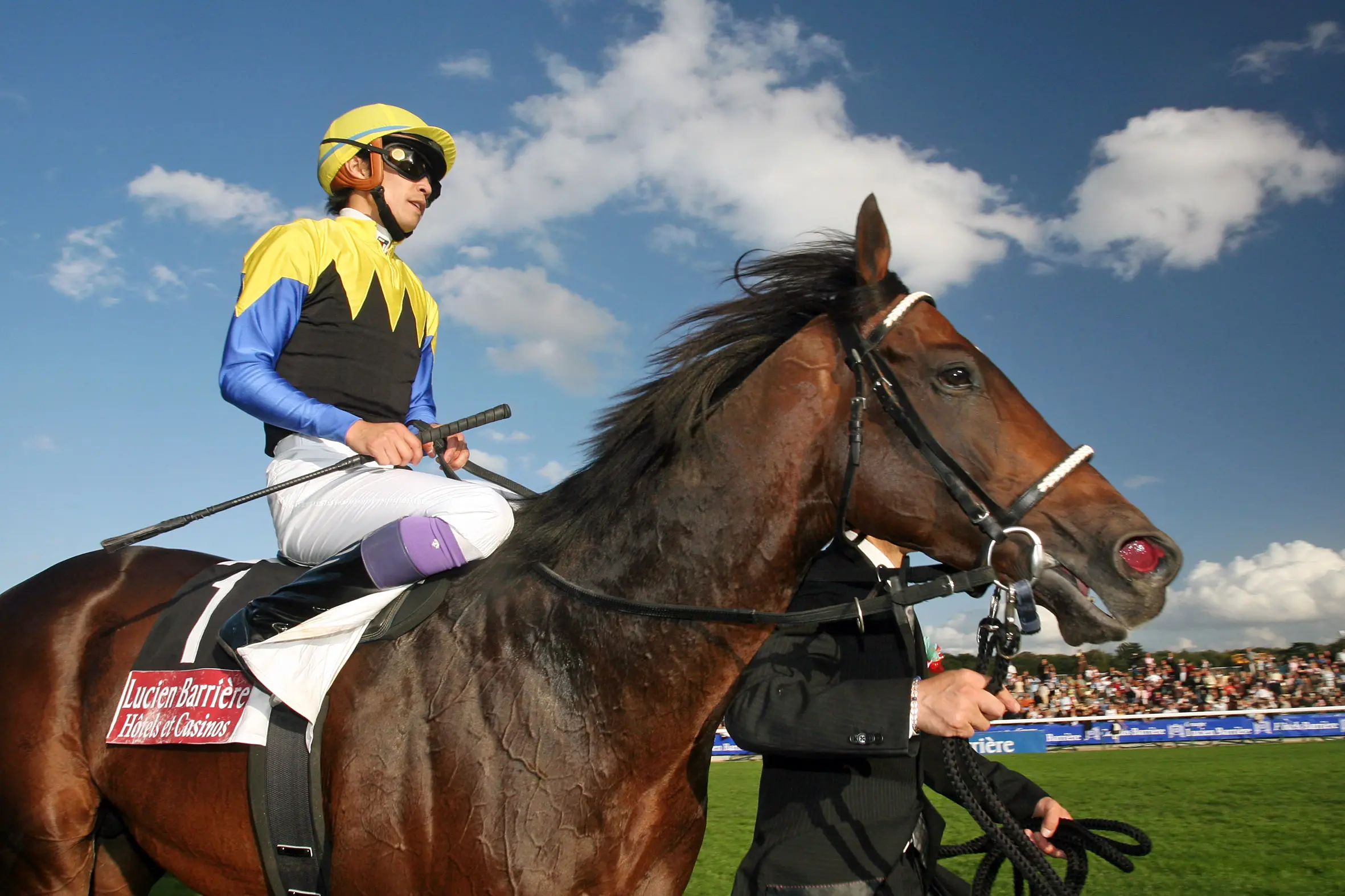 OWNER HORSE ★DEEP SKY Deep Impact's Deep Influence - BloodHorse