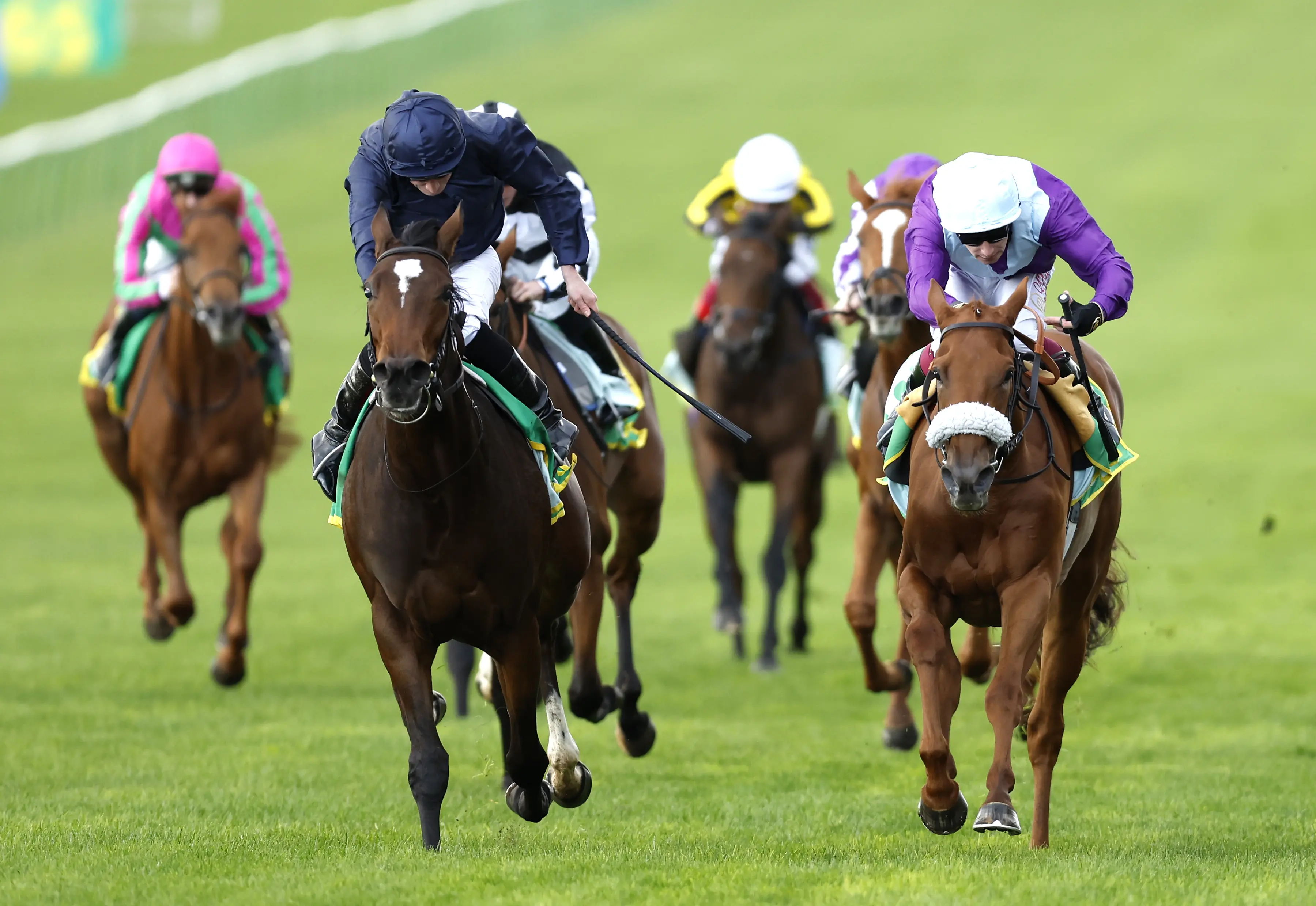 Melbourne Cup: Crystal Black out to book ticket