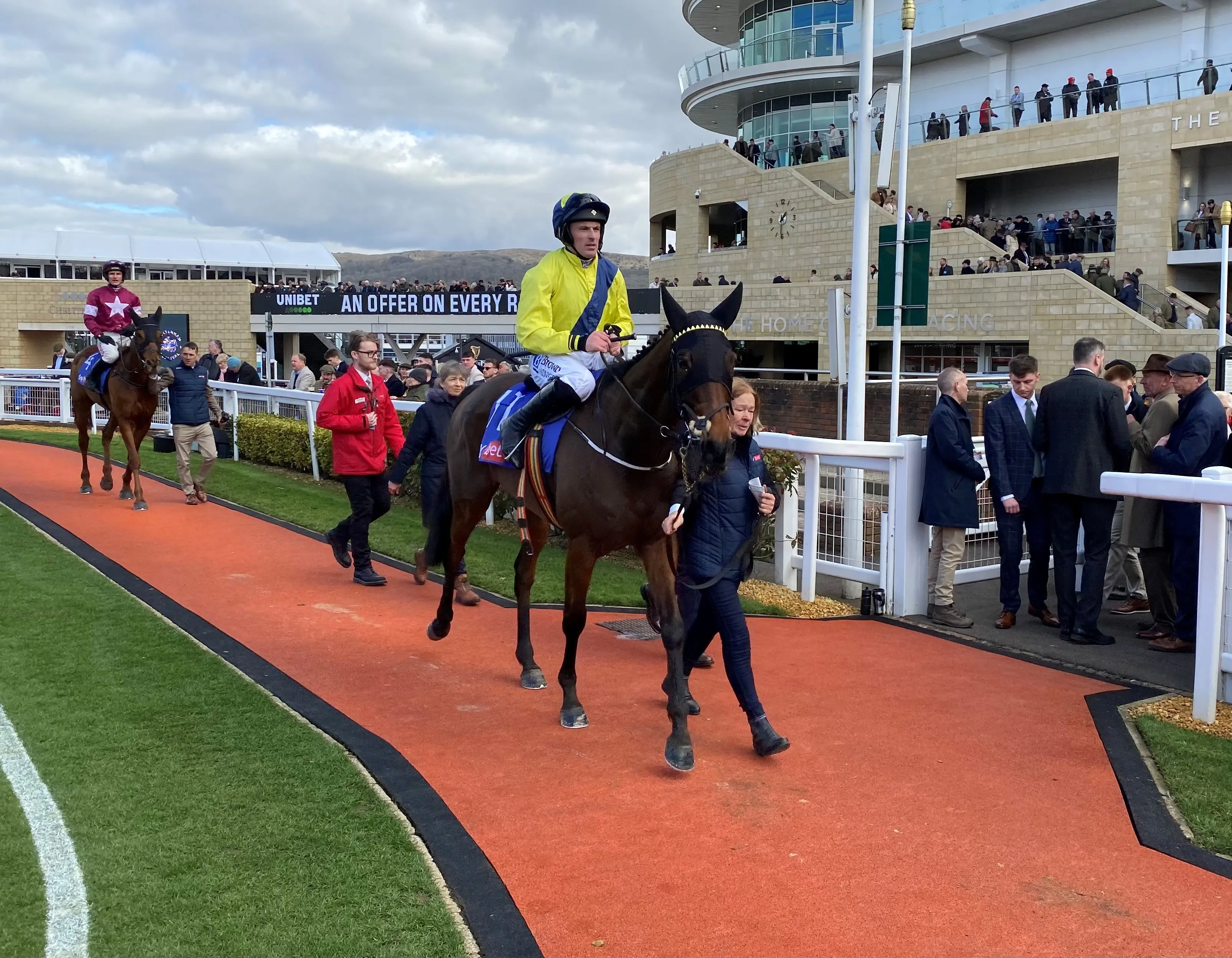 William Munny will now be saved for novice chasing next term