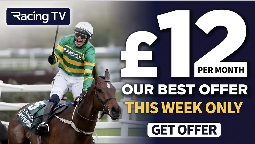 Npo1 Racing Today's Horse Racing News & Results | Racing TV