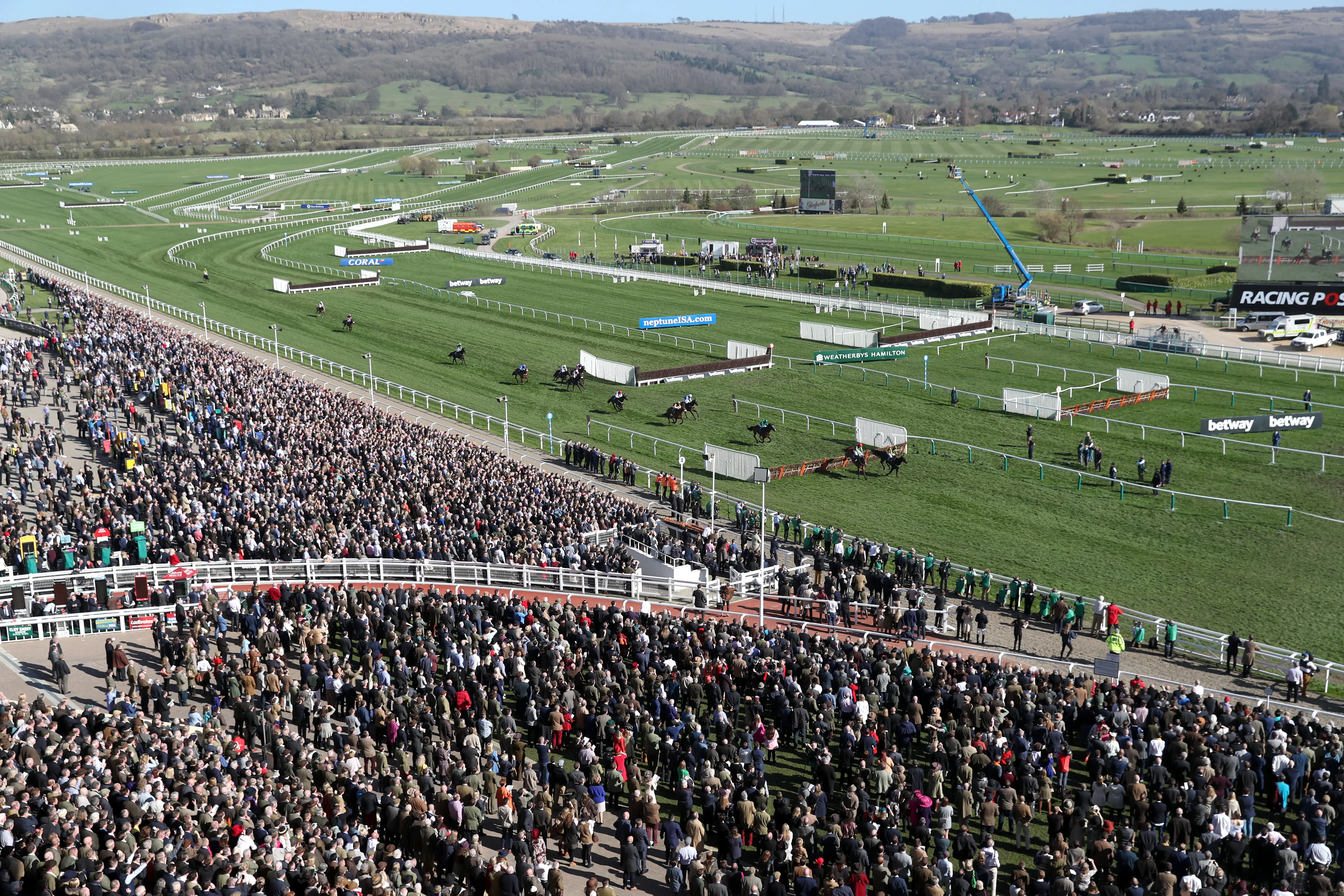 Betfair Cheltenham Betting Offer 2025 Racing TV