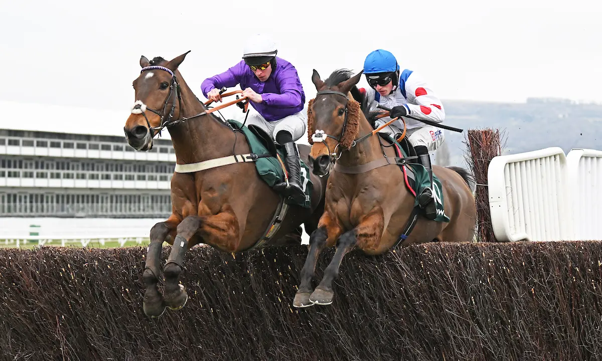 Antepost tips for the Paddy Power Gold Cup and Greatwood Hurdle