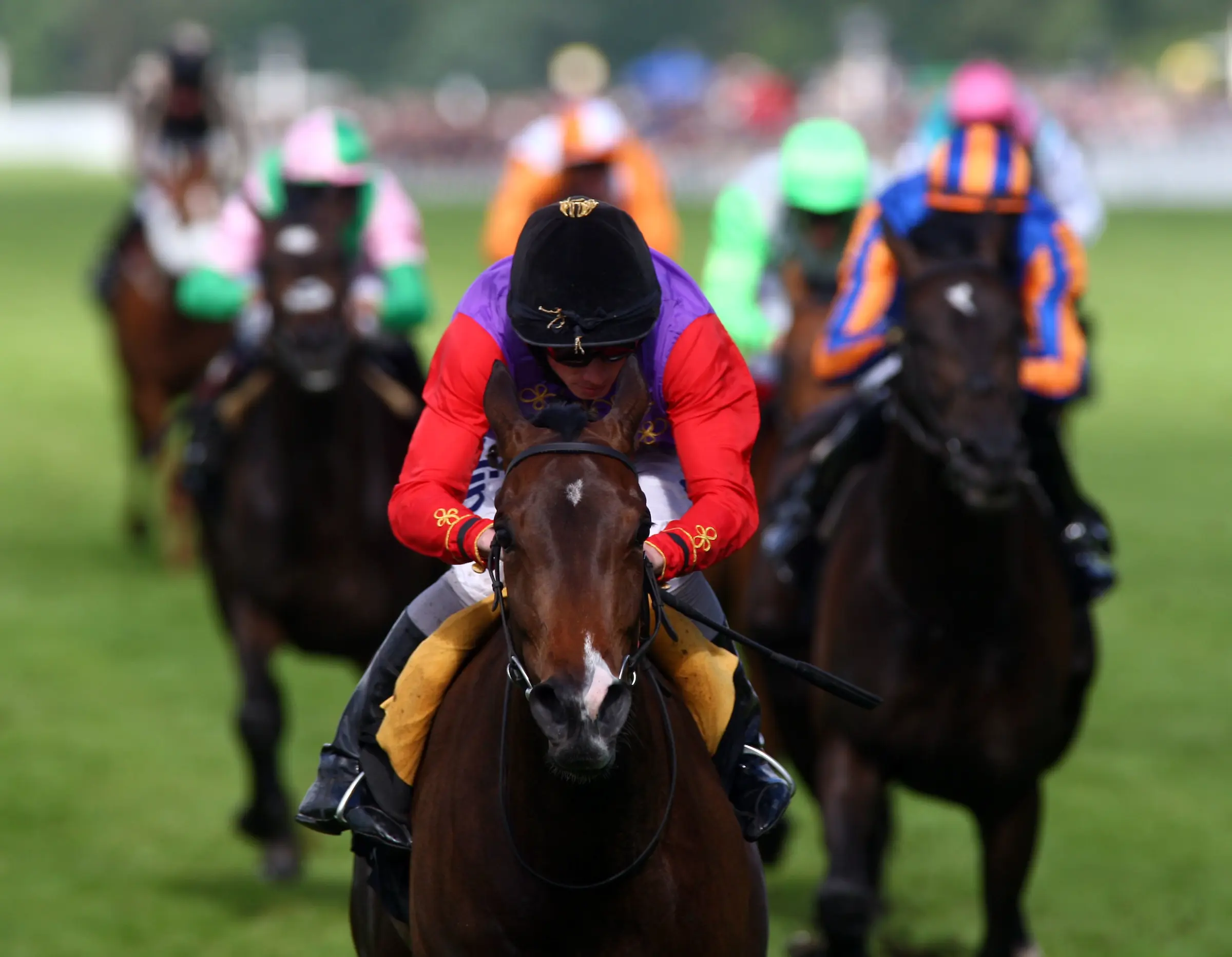Exclusive: Dave Nevison'S 3 Top Secret Horse Racing Picks For Tuesday - wki5zpt