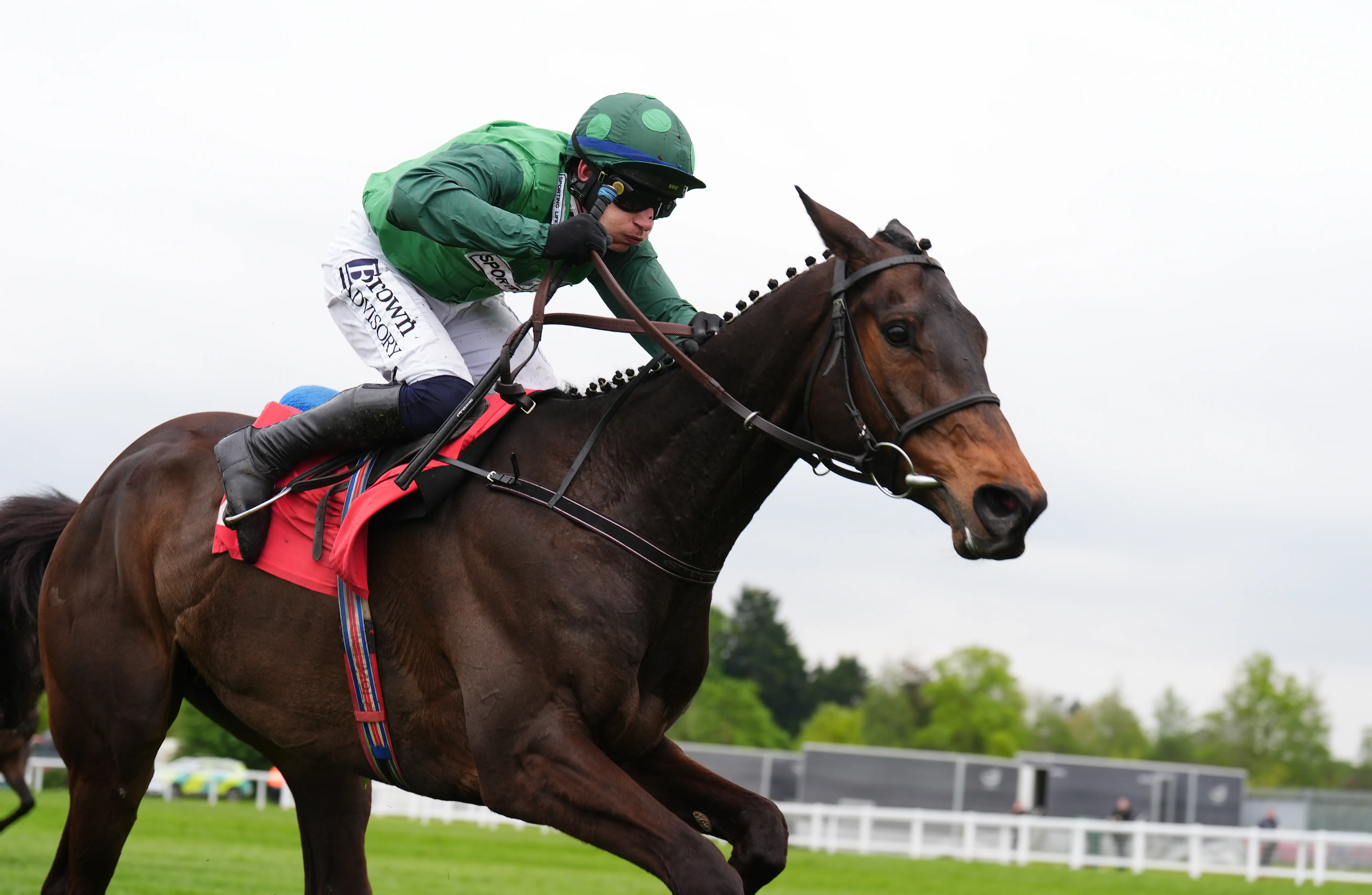 Tuesday'S Triple Threat: Free Horse Racing Tips For Musselburgh, Wolverhampton & Ballinrobe! - cmk5hgo