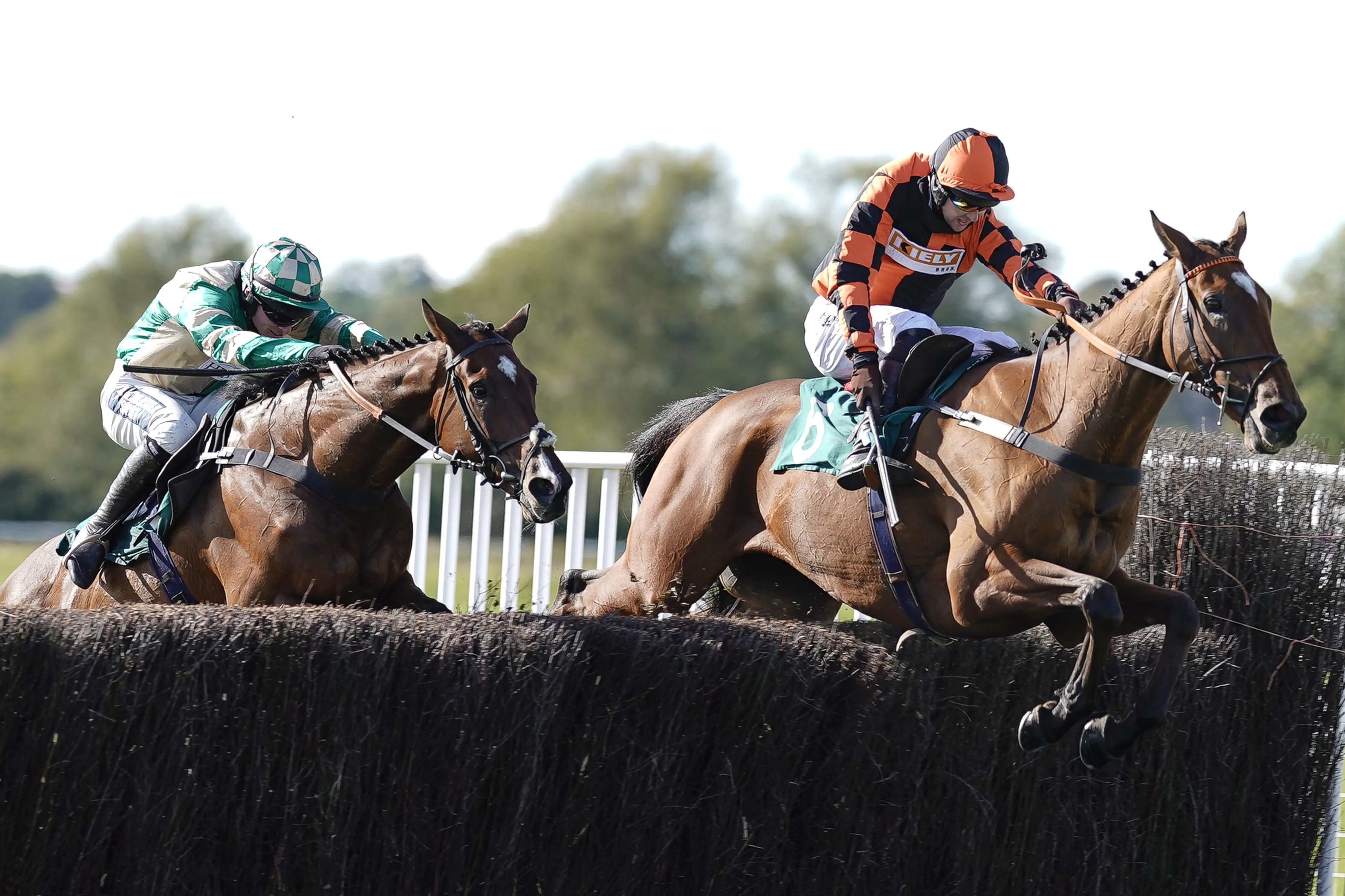Tuesday tips Dave Nevison's best bets at Warwick