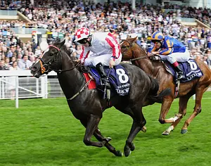 Today's Horse Racing News | Racing TV