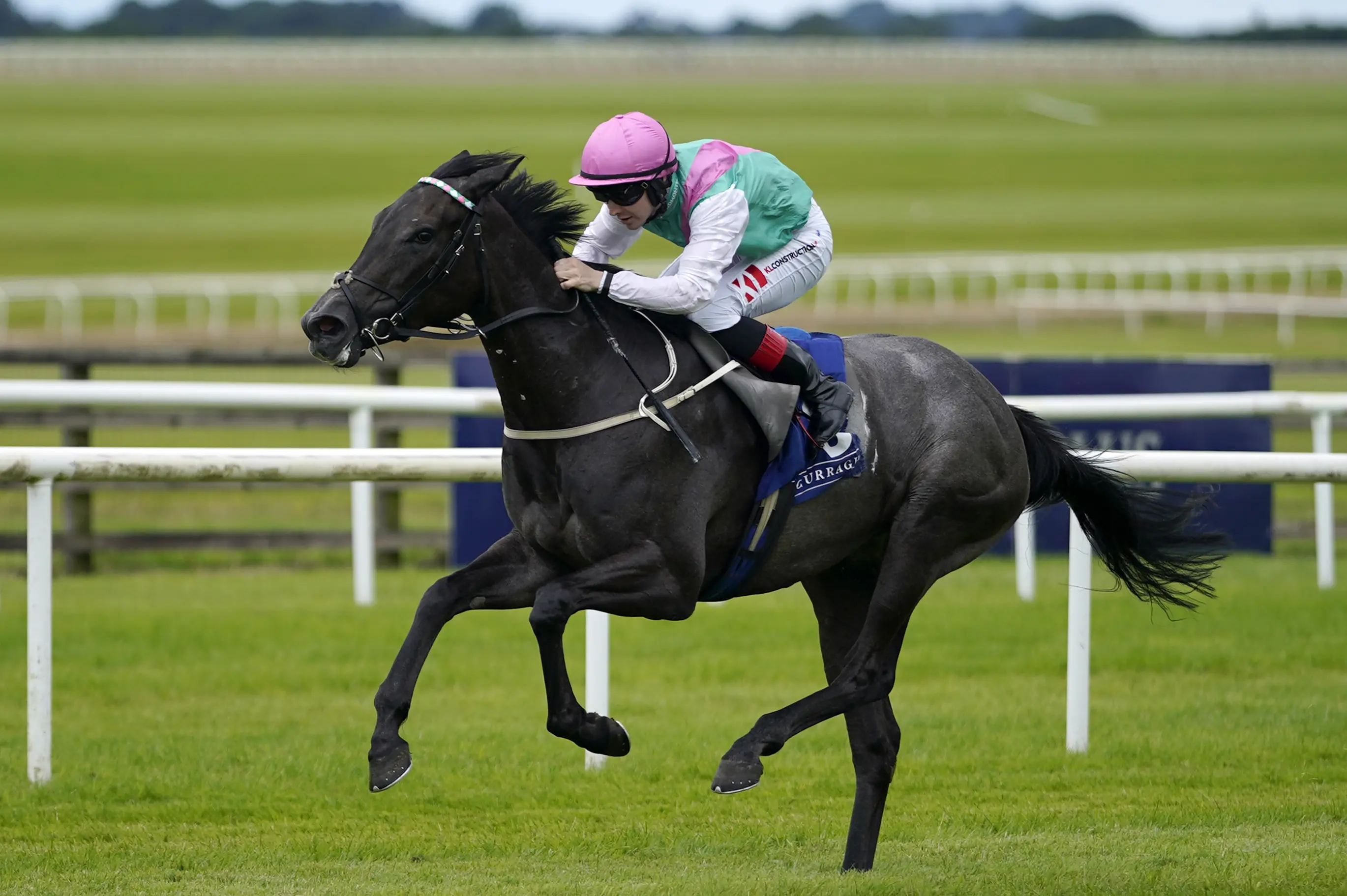 Horses To Follow 2025 Flat Season: A Tiefor Racing Publication: 2025