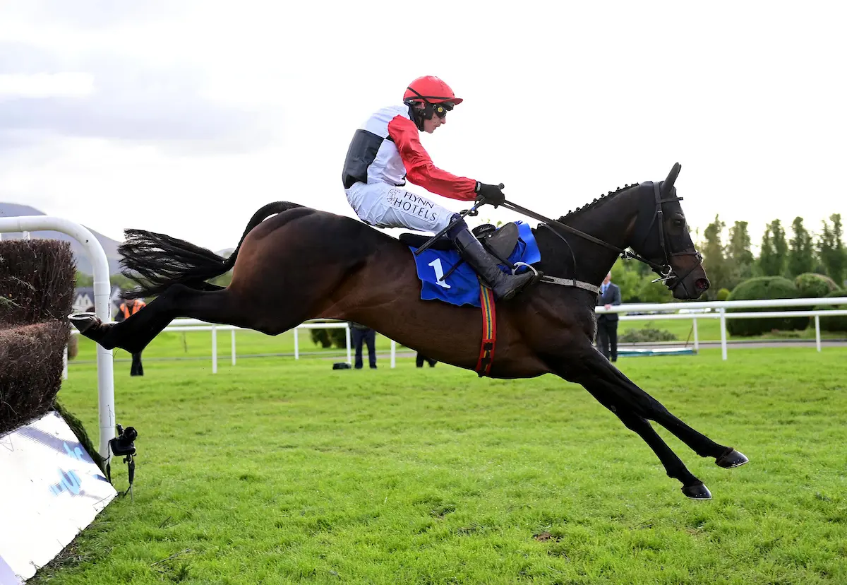 Clonmel Oil Chase runnerbyrunner guide and predicted finishing order