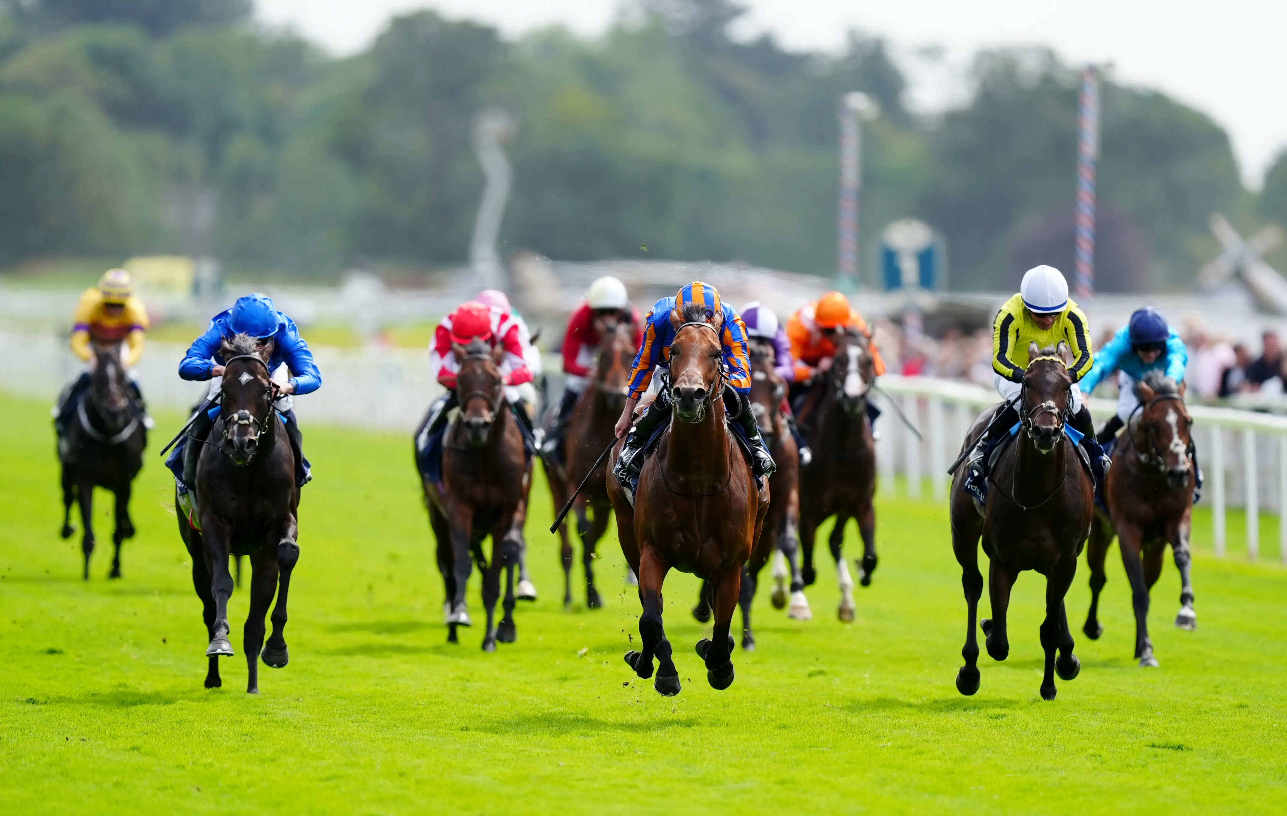 Wimbledon Hawkeye has the Royal Lodge in his sights at Newmarket