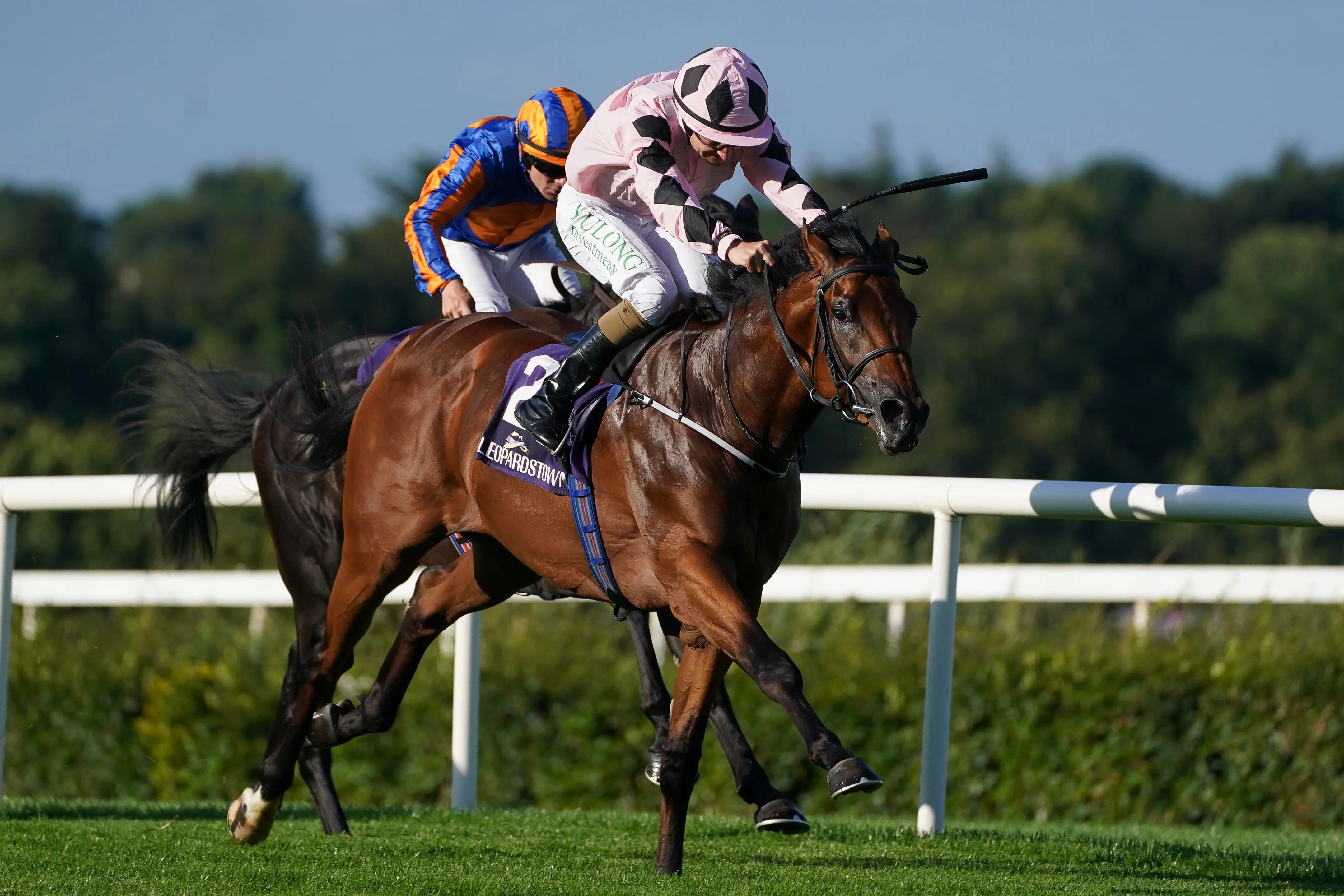 Harrington expecting Hotazhell to make Beresford mark