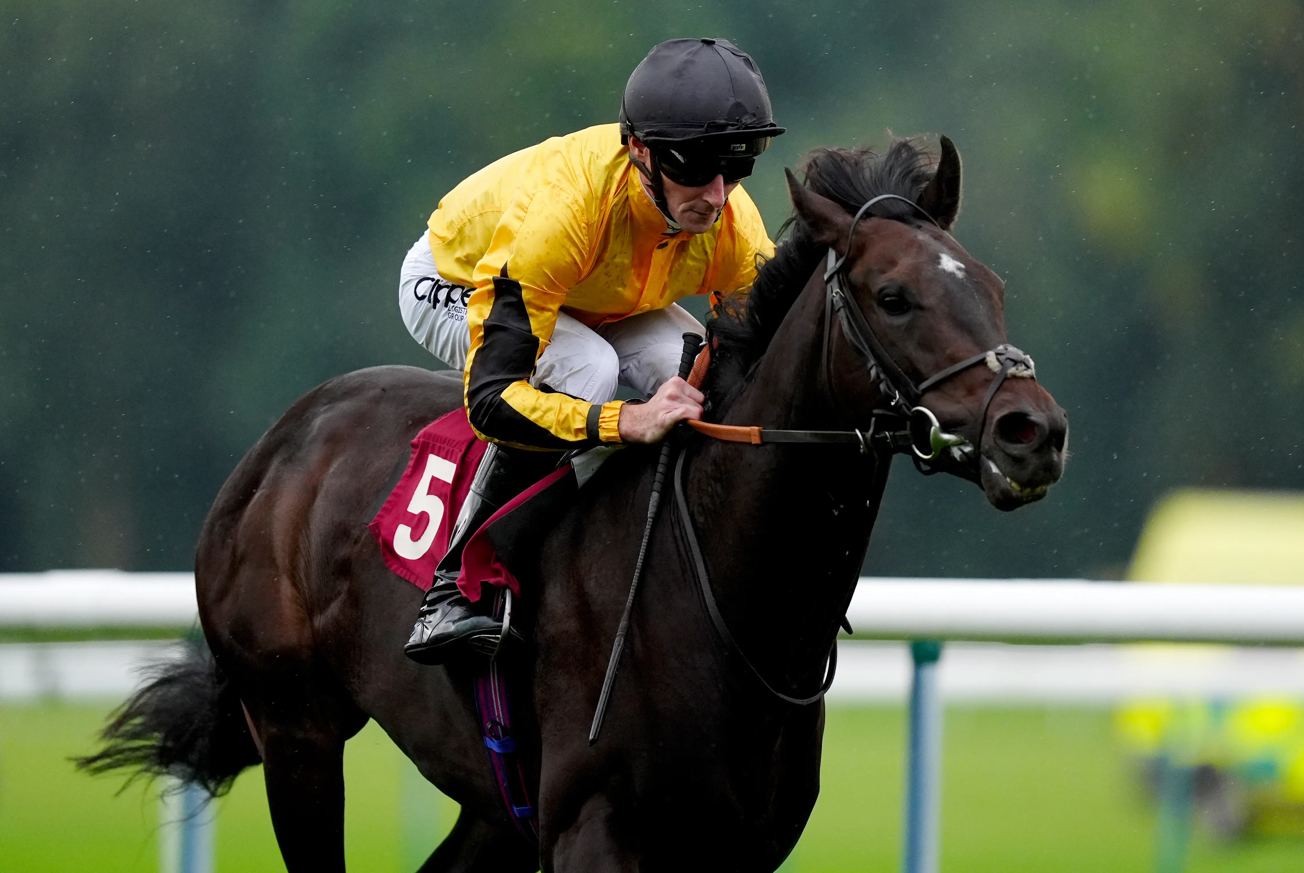 Luther aiming to hit high note in Royal Lodge