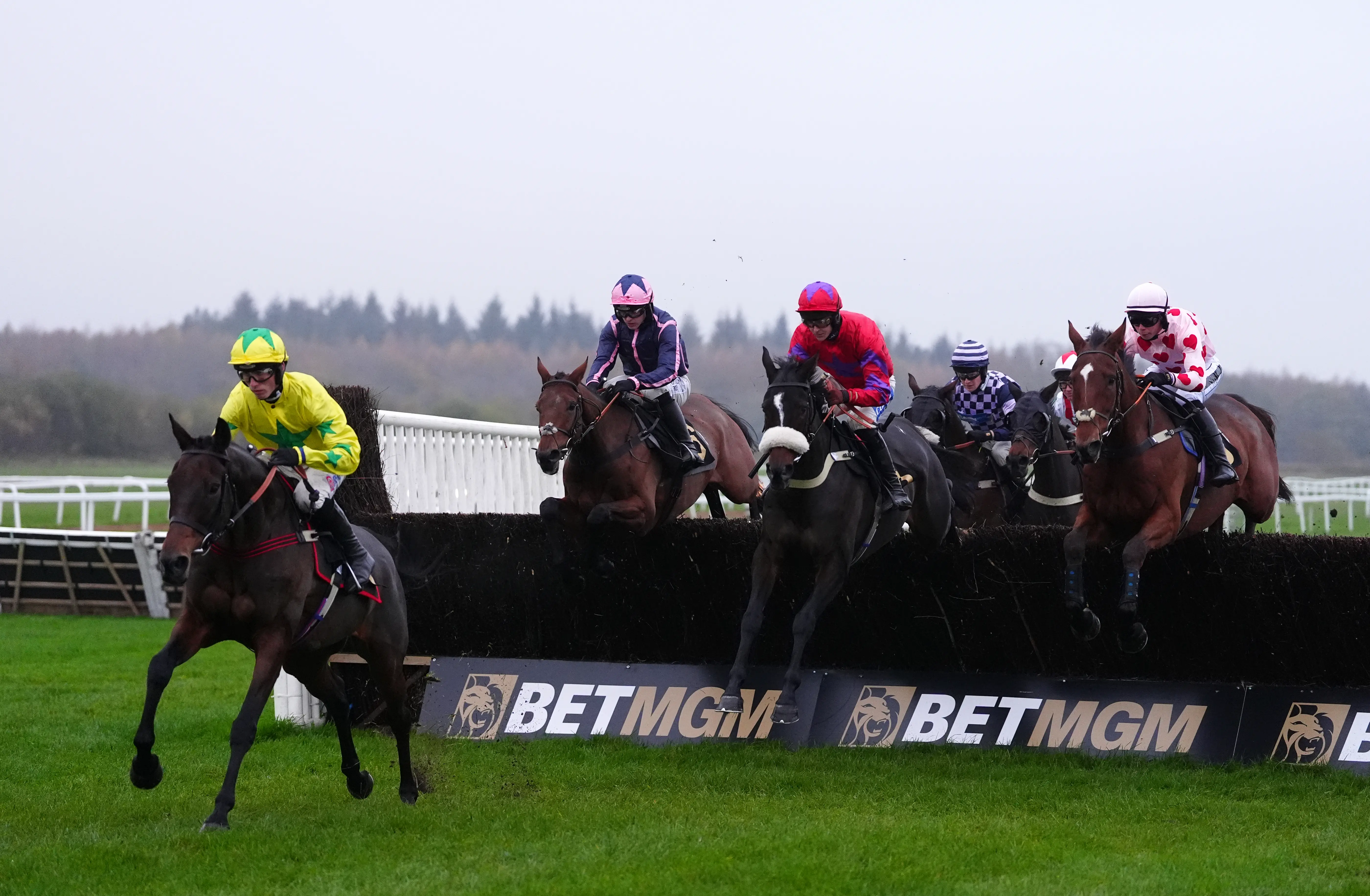 Dave Nevison Reveals His 3 Best Horse Racing Picks For Tuesday – Don'T Miss It! - inkdm28