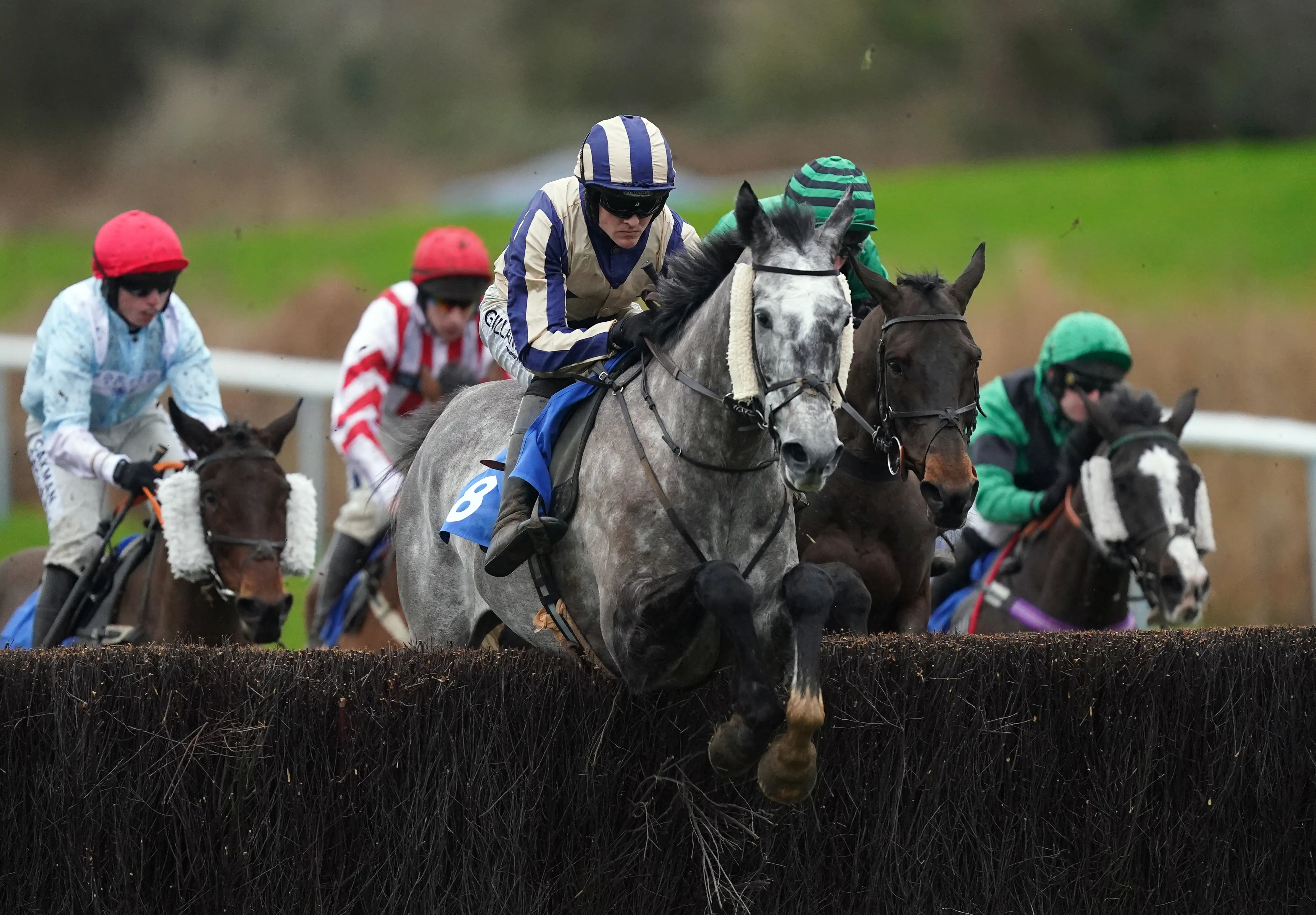 The Expert'S Edge: Dave Nevison'S 3 Must Bet Horse Racing Picks For Tuesday - 1kydt3w