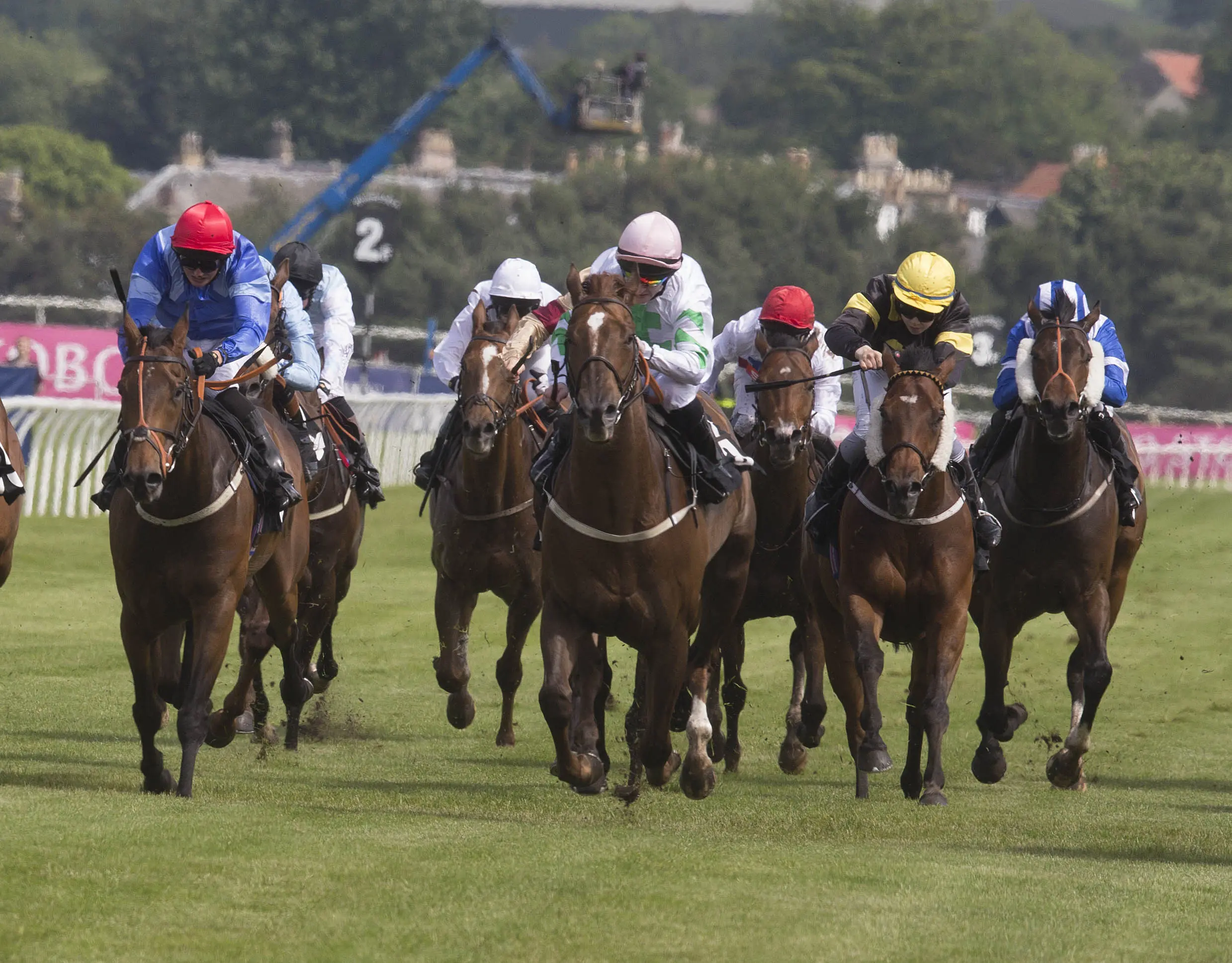 Guaranteed Winners? Free Horse Racing Tips For Musselburgh, Wolverhampton & Ballinrobe – Tuesday, July 22 - 5t2xnxl