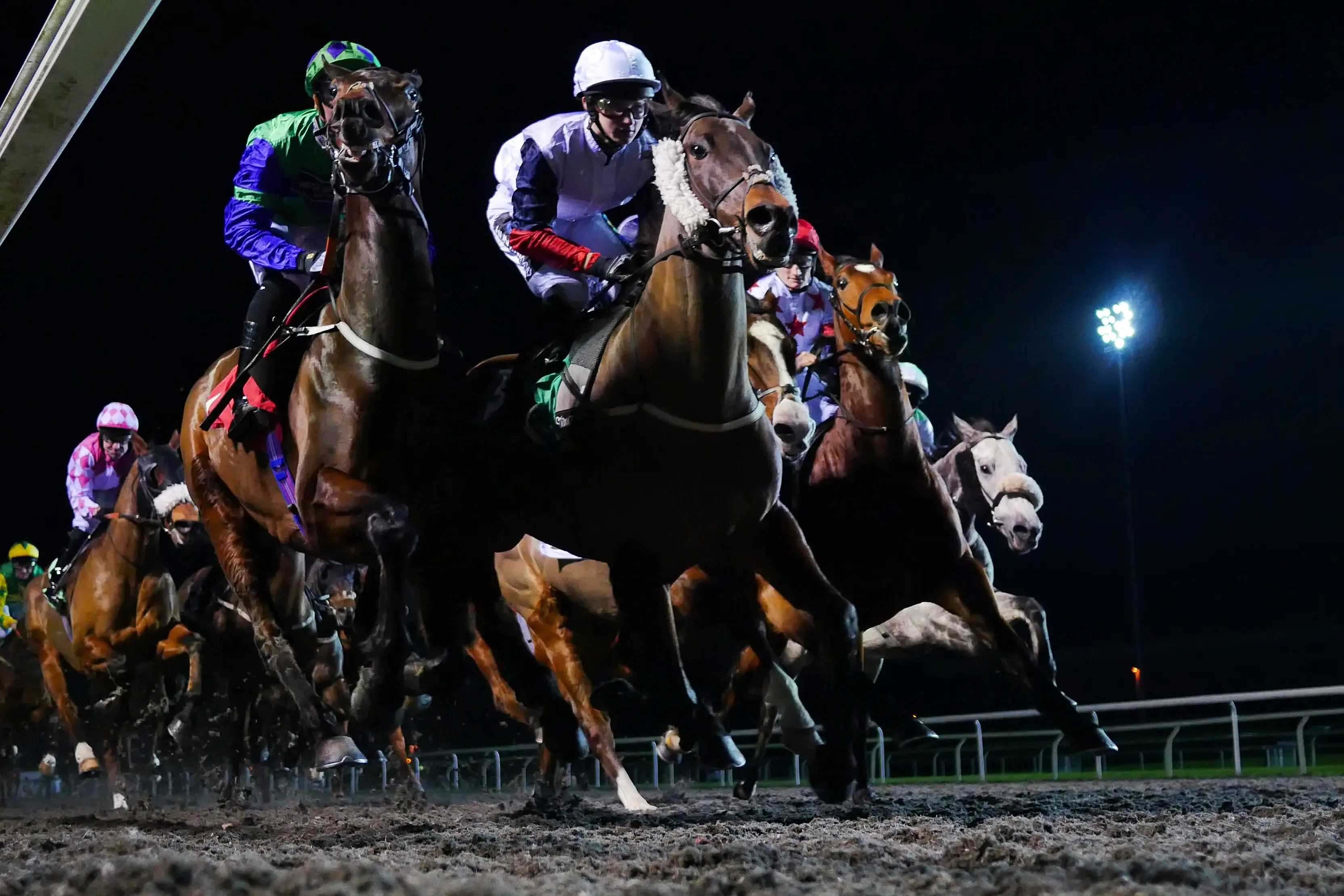 Winning Big On Tuesday? Dave Nevison'S 3 Horse Racing Picks Can Help! - c6xkdmj