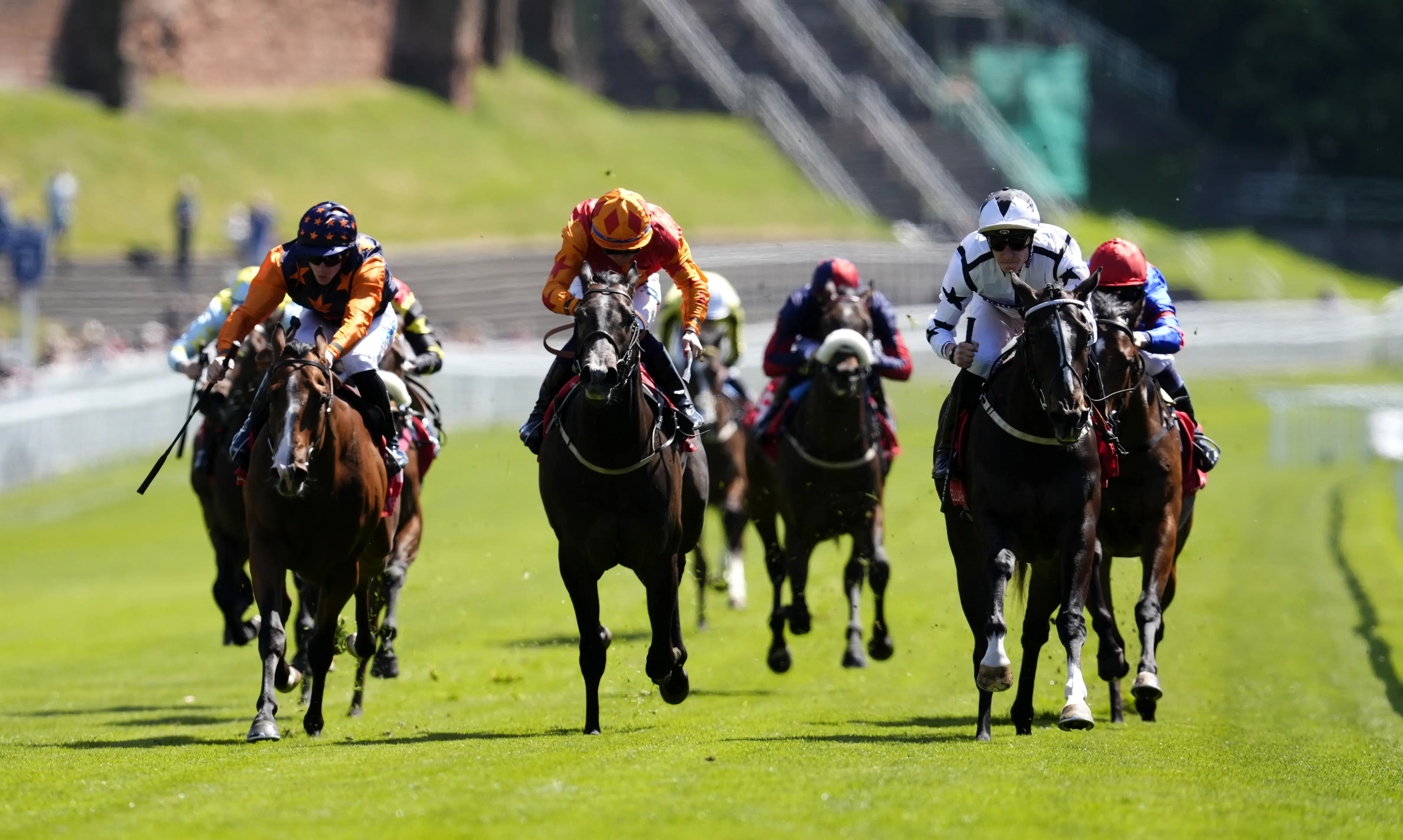 All eyes on Ali Shuffle in smart renewal of Hilary Needler