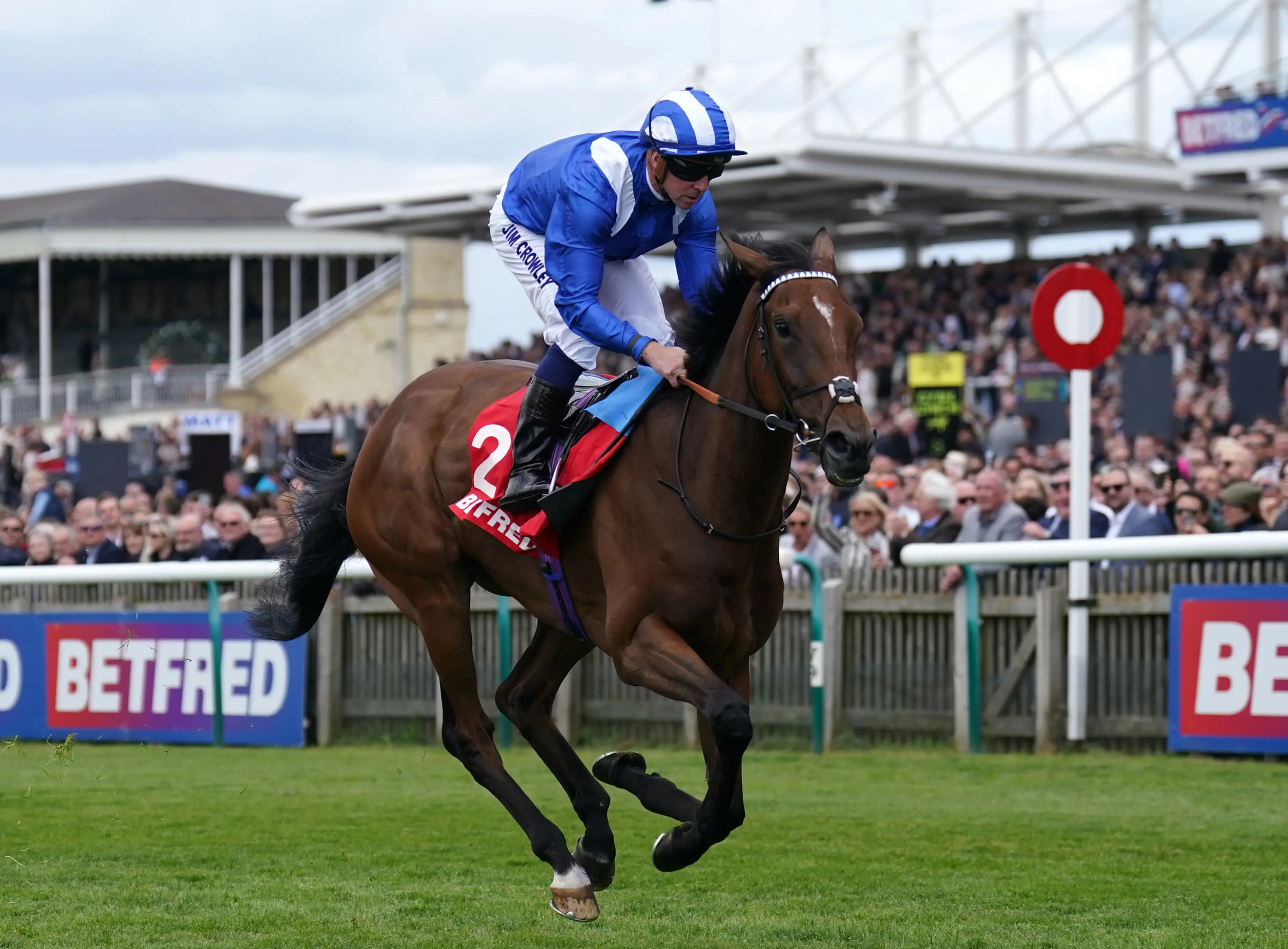 Falakeyah putting mile credentials to the test against Zarigana