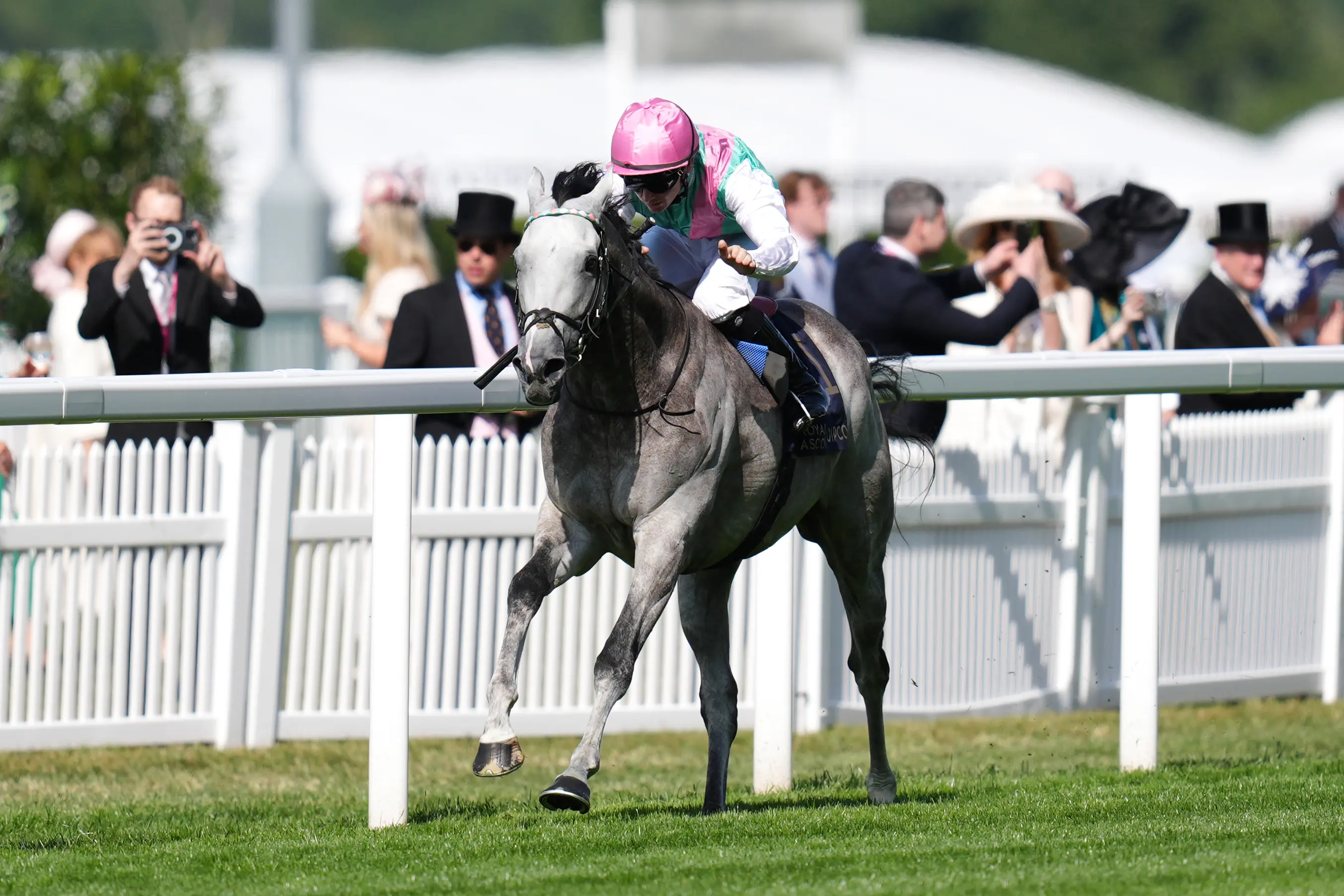 William Buick booked for Field Of Gold at Goodwood