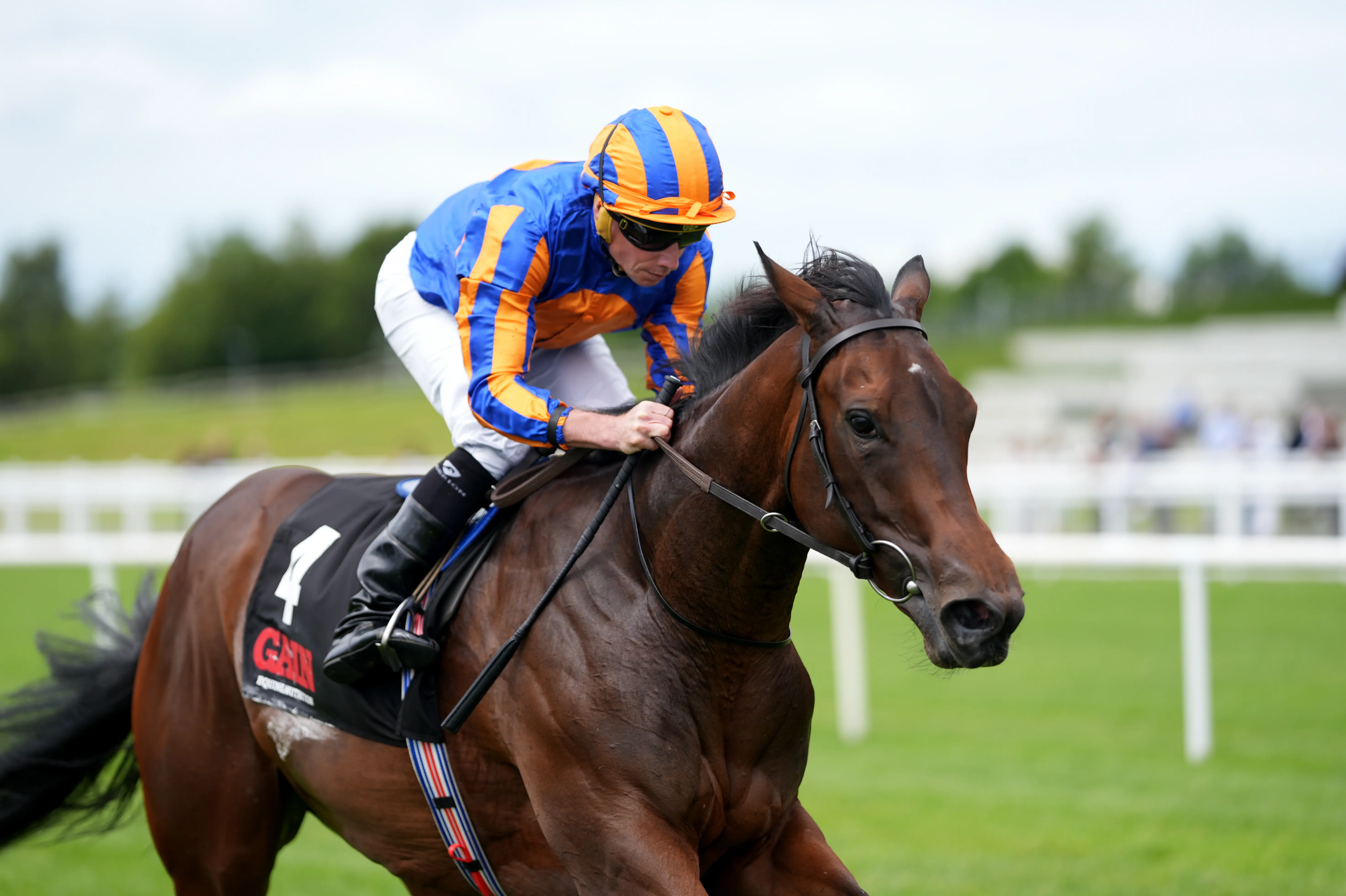 True Love blossoms in Cheveley Park