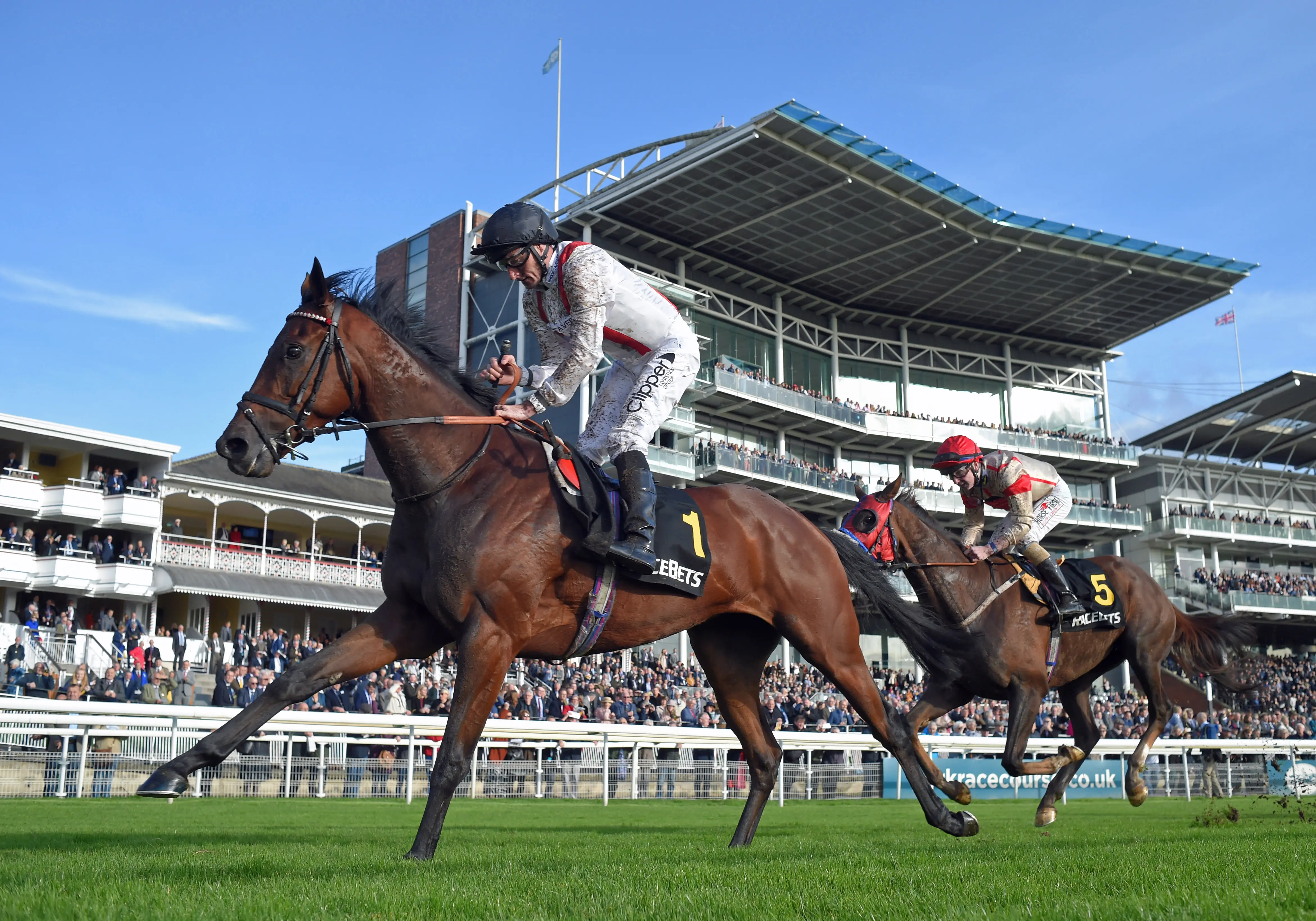 Chris Dixon: My Five To Follow at the Ebor Festival