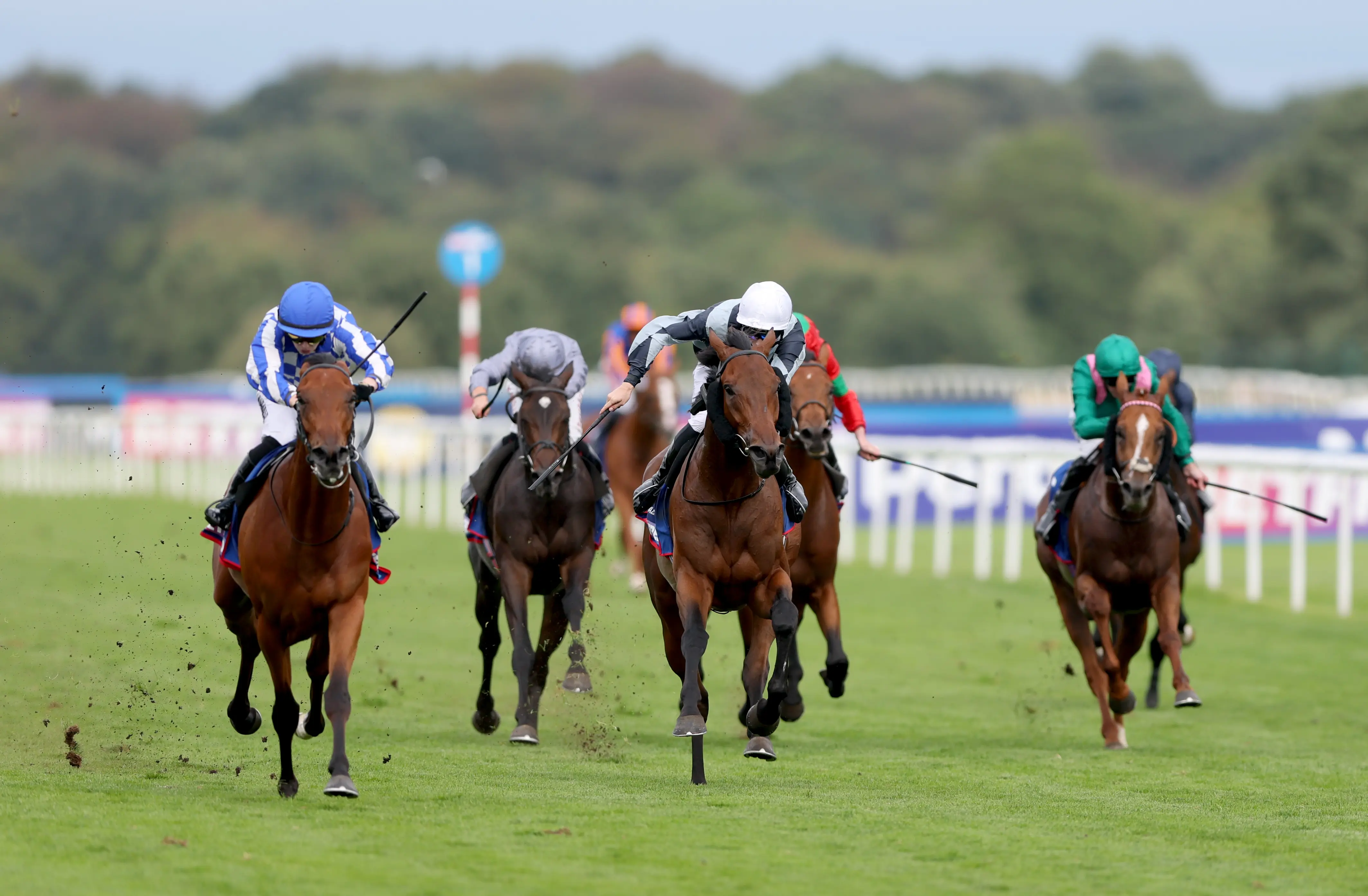New BHA chair determined to focus ‘on growth, not just managing decline’