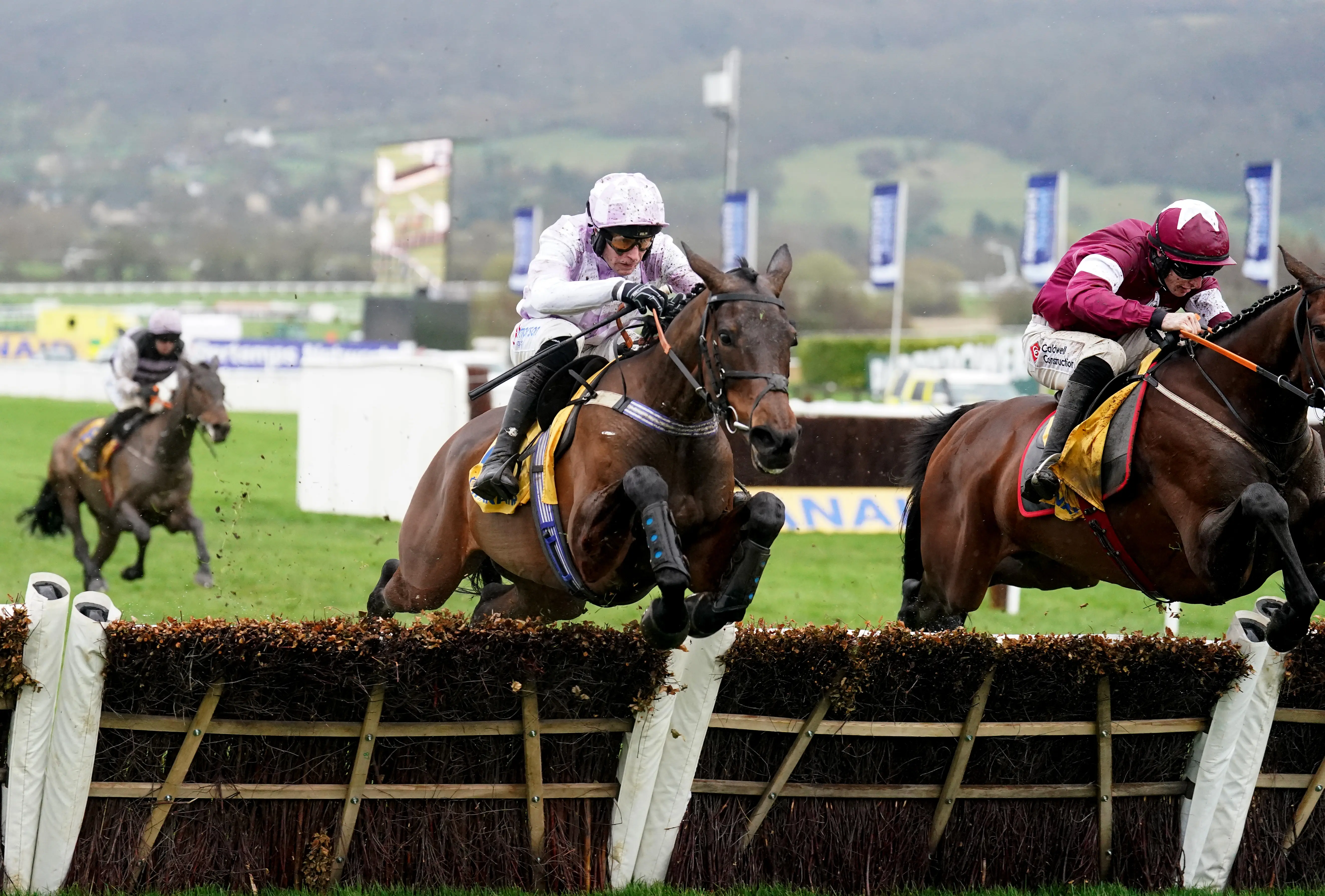 Golden Ace poised for weekend return if ground is suitable