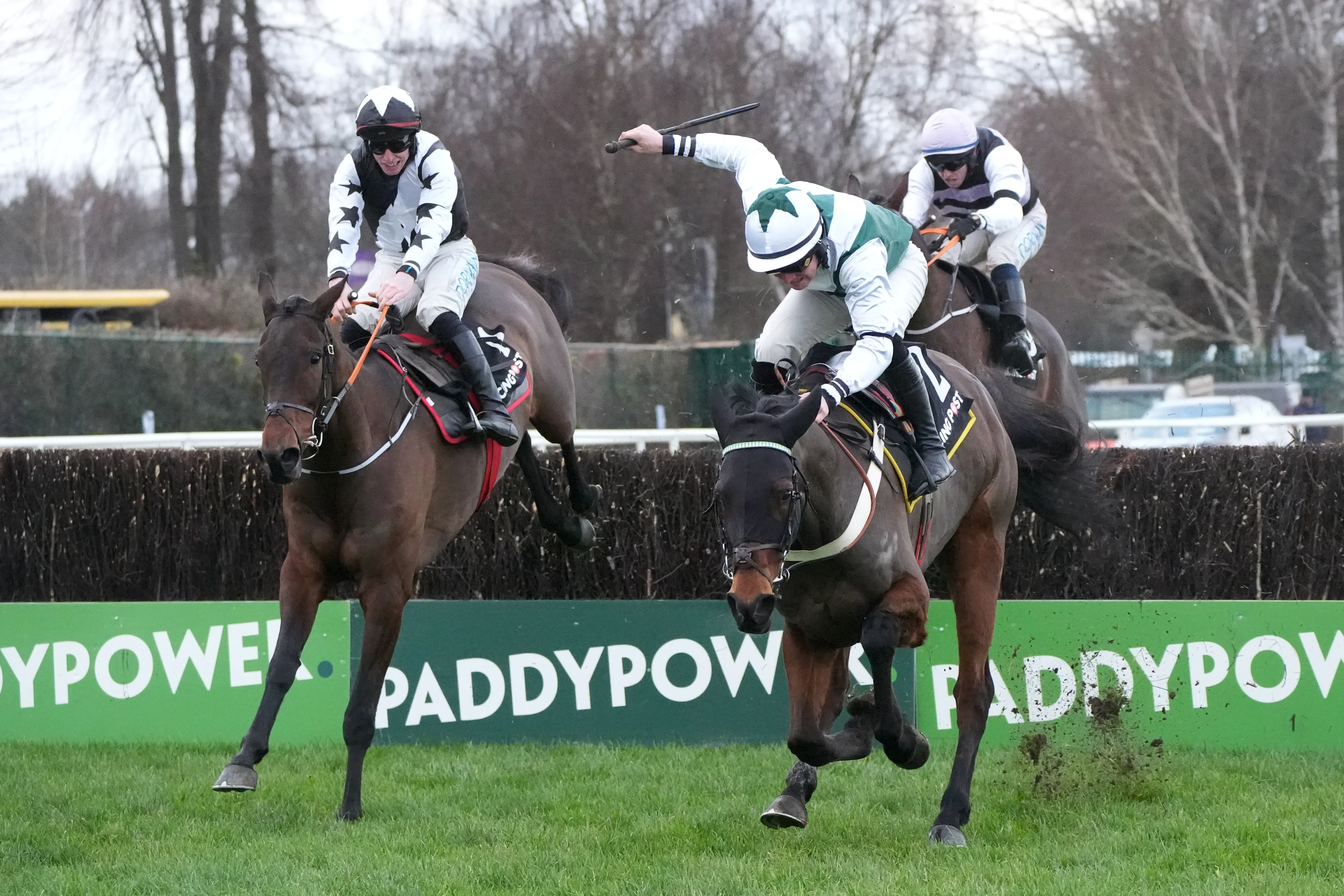 Elliott: I'd be shocked if Romeo Coolio ran in the Arkle