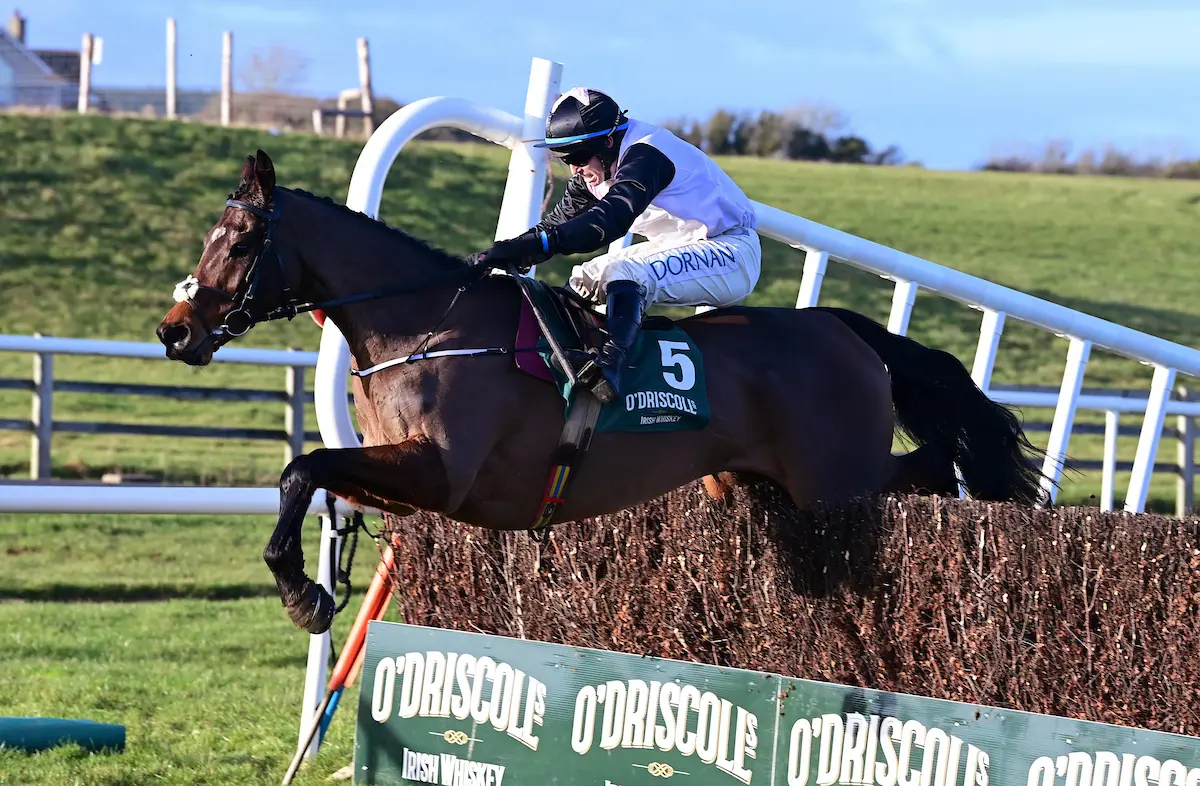 Tramore Racing Heart Wood shines for Henry de Bromhead at Tramore