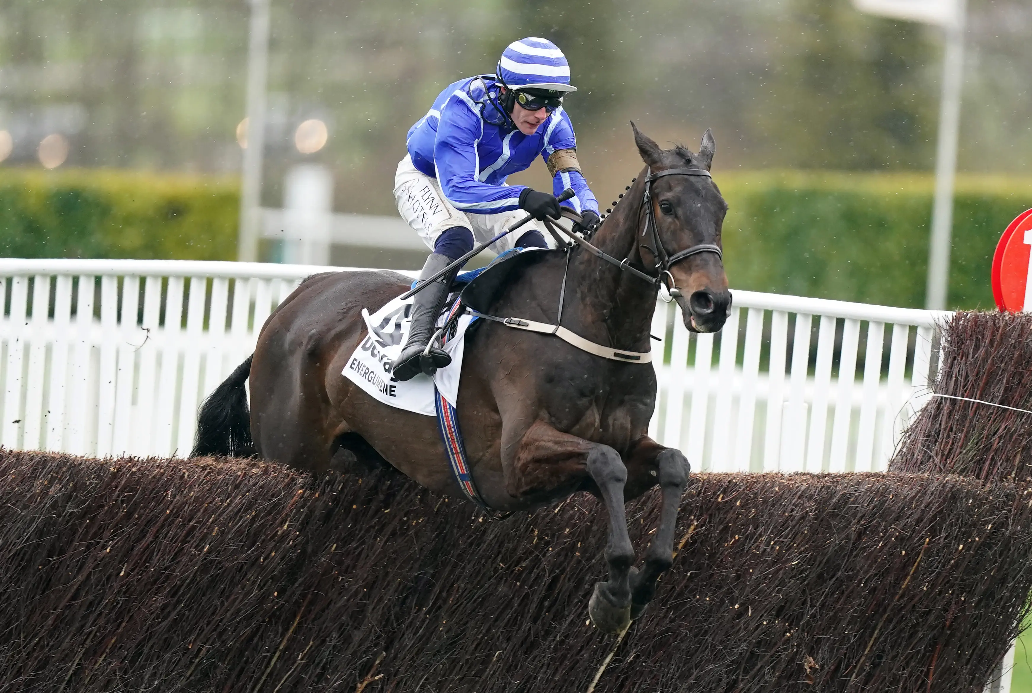 Thurles run could be key to Energumene aim