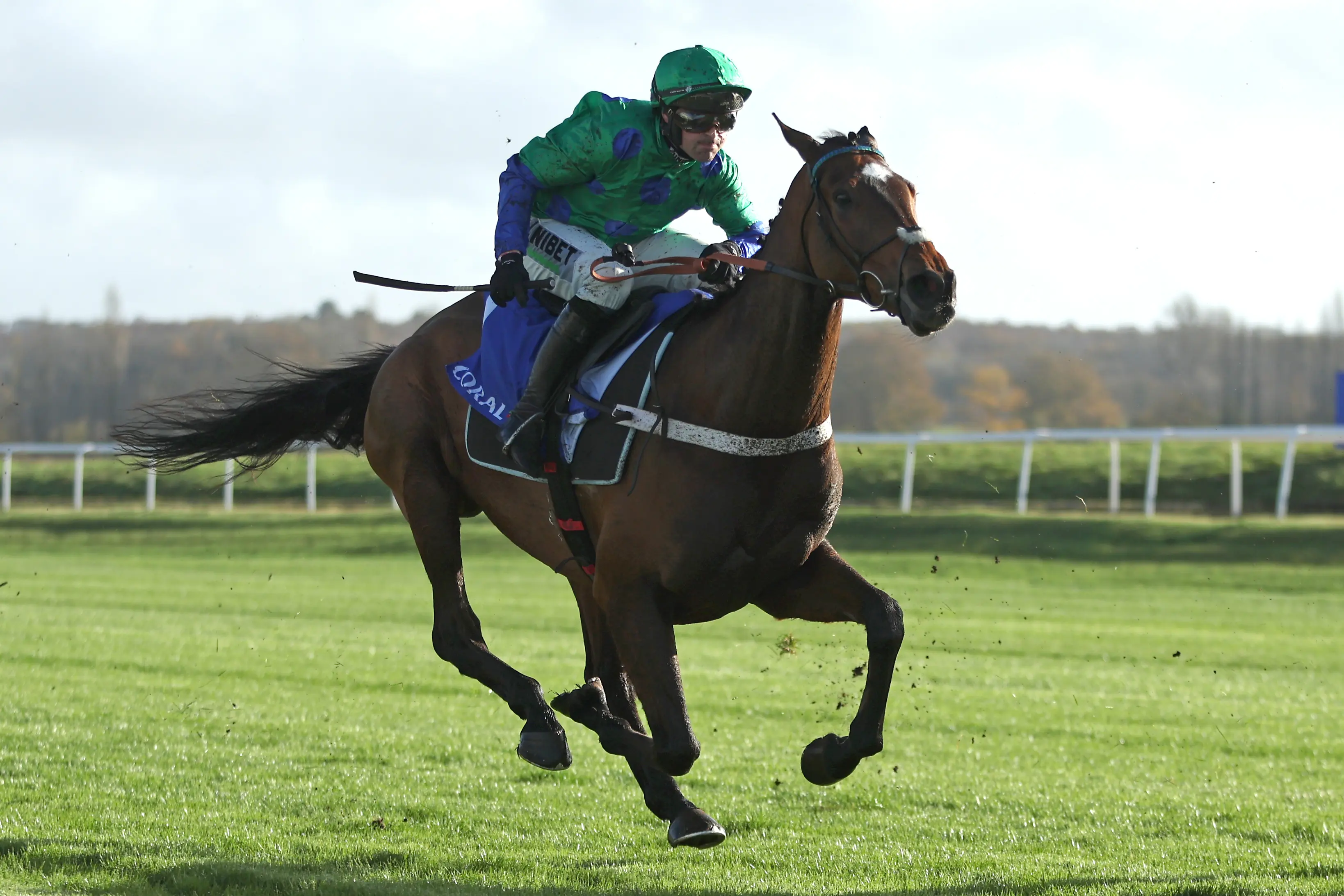Act Of Innocence set to be seen next at Huntingdon