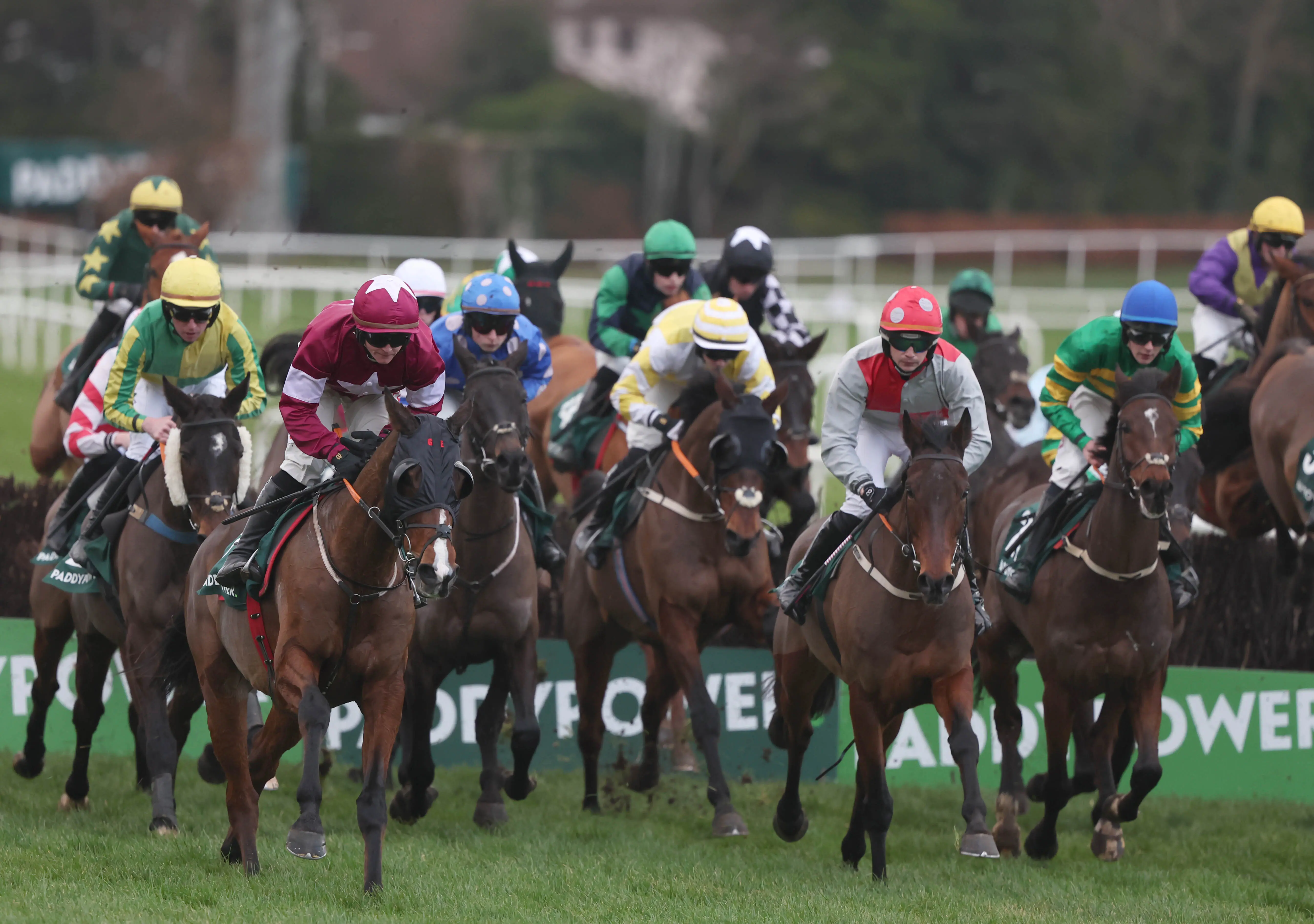 Five horses to follow at Leopardstown on Monday