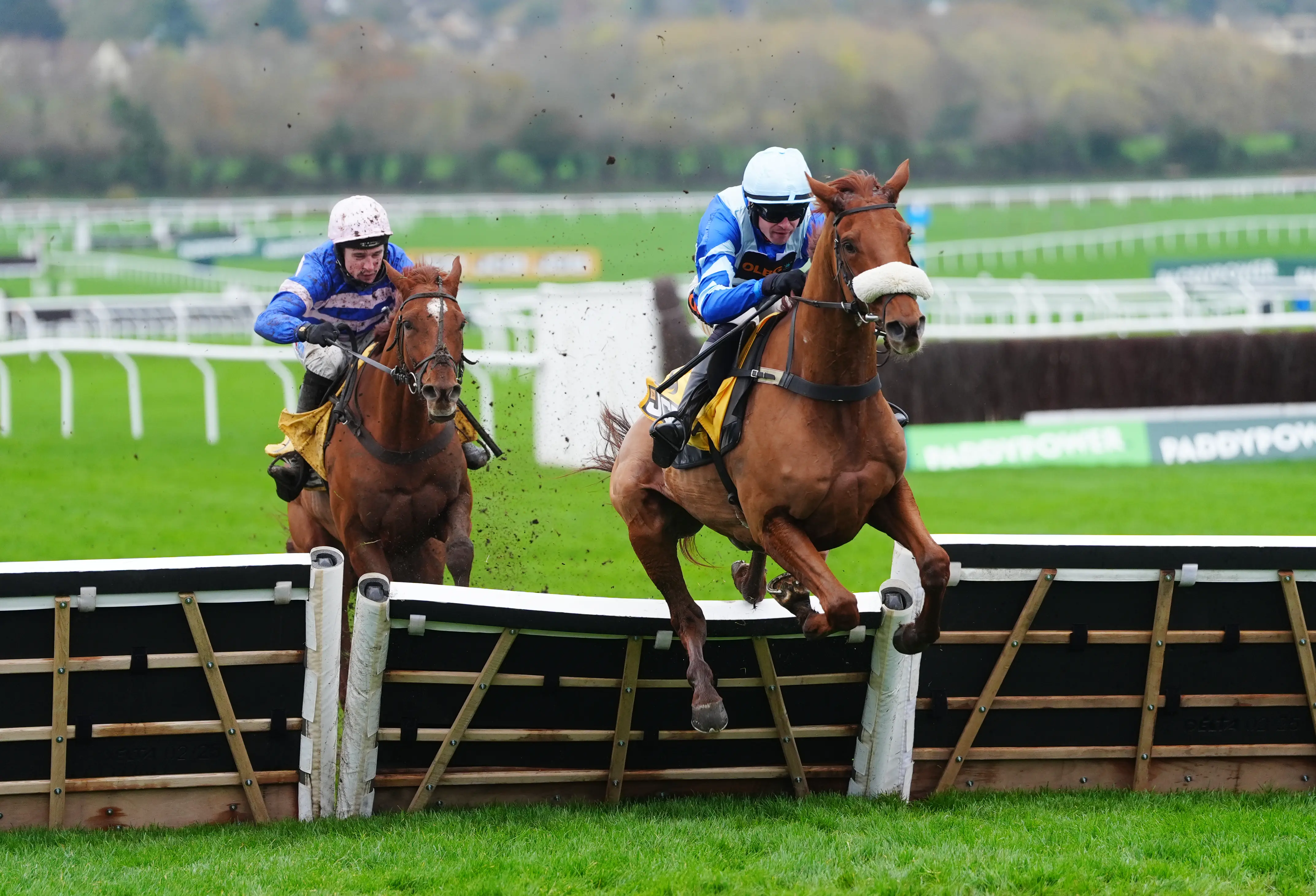 Derham happy to chart Triumph path with One Horse Town