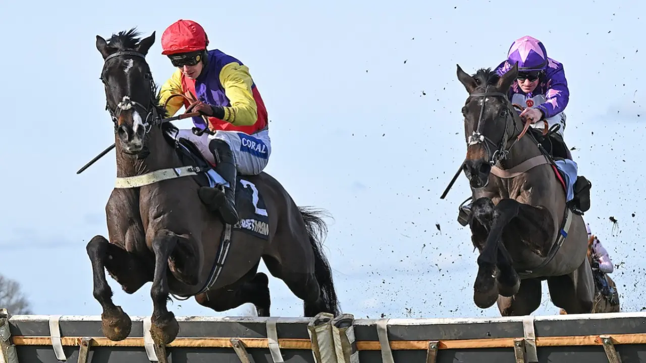 Alexei books Champion Hurdle ticket in workmanlike fashion