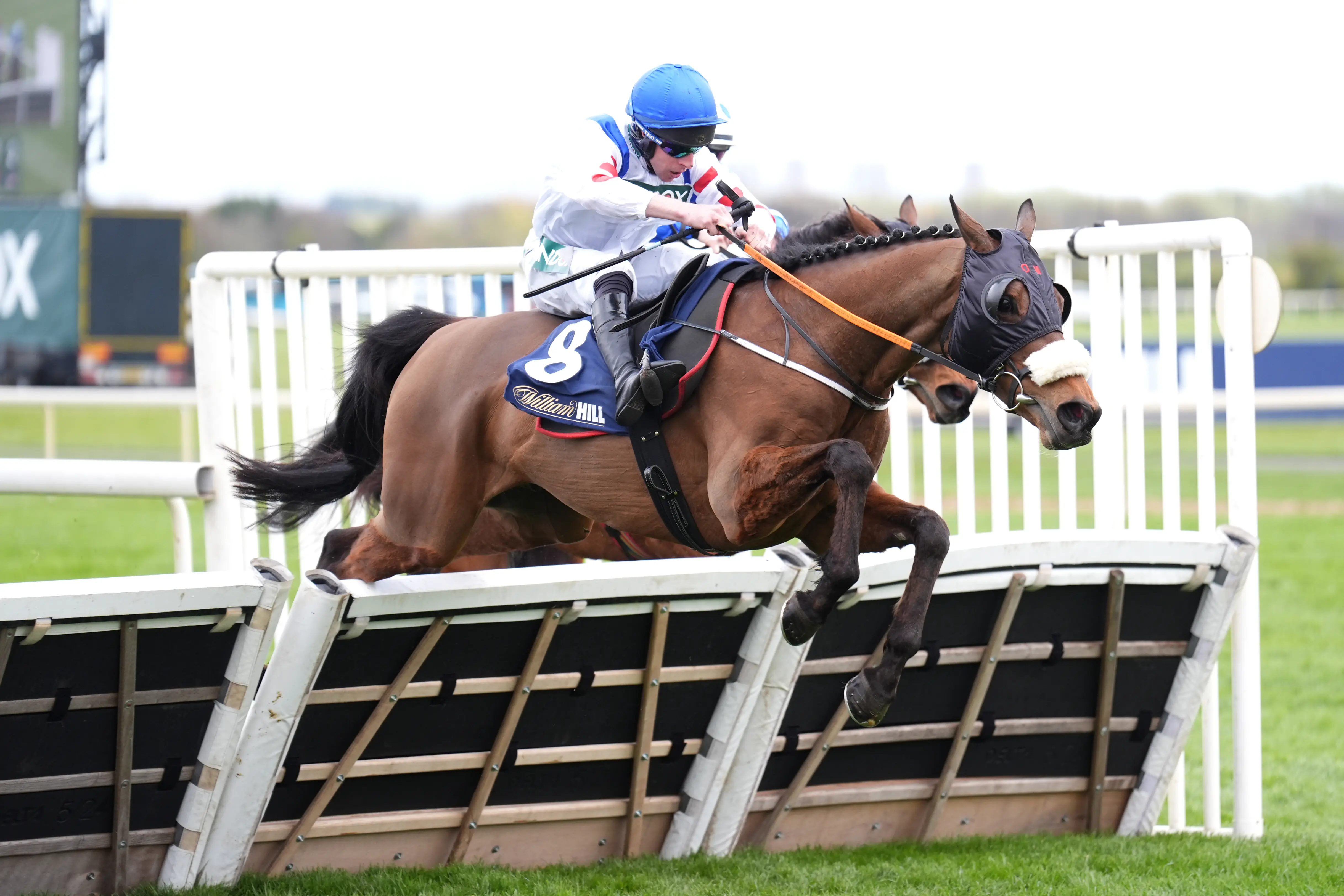 Wade Out strikes Aintree gold for Sir Alex Ferguson