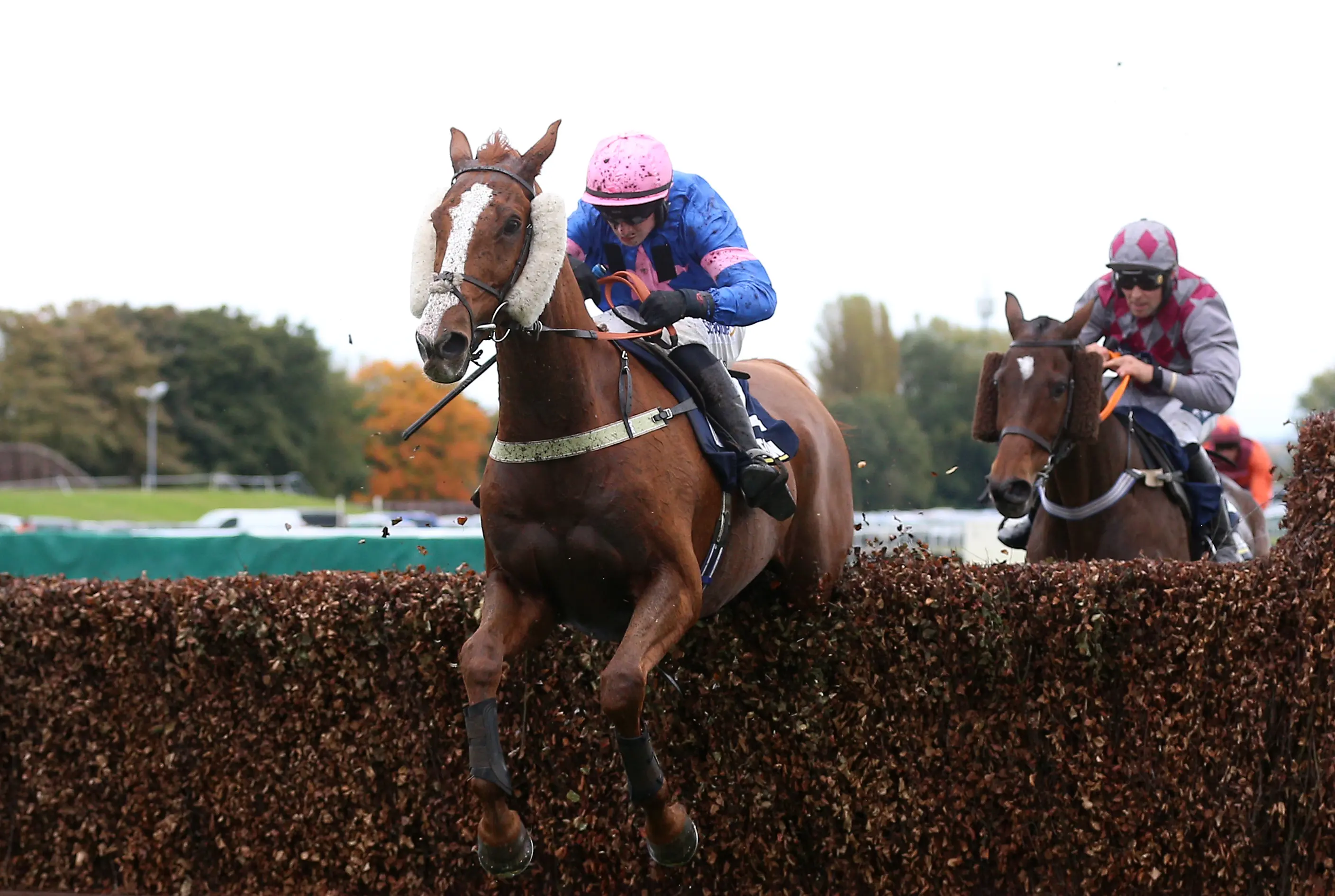 Dingo Dollar cashes in at Aintree with veterans’ victory