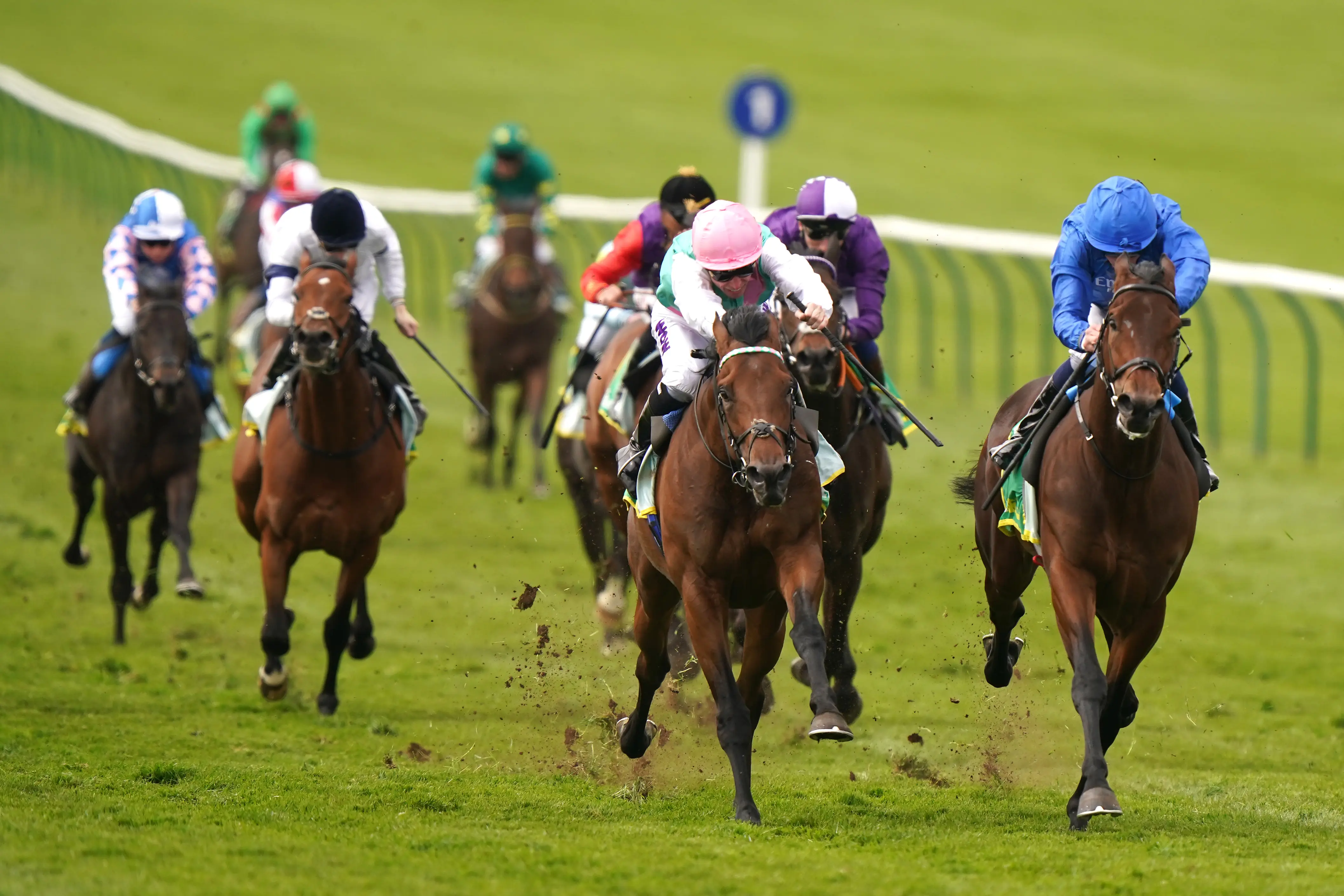 First Conquest is Wood Ditton wonder for Appleby and Buick