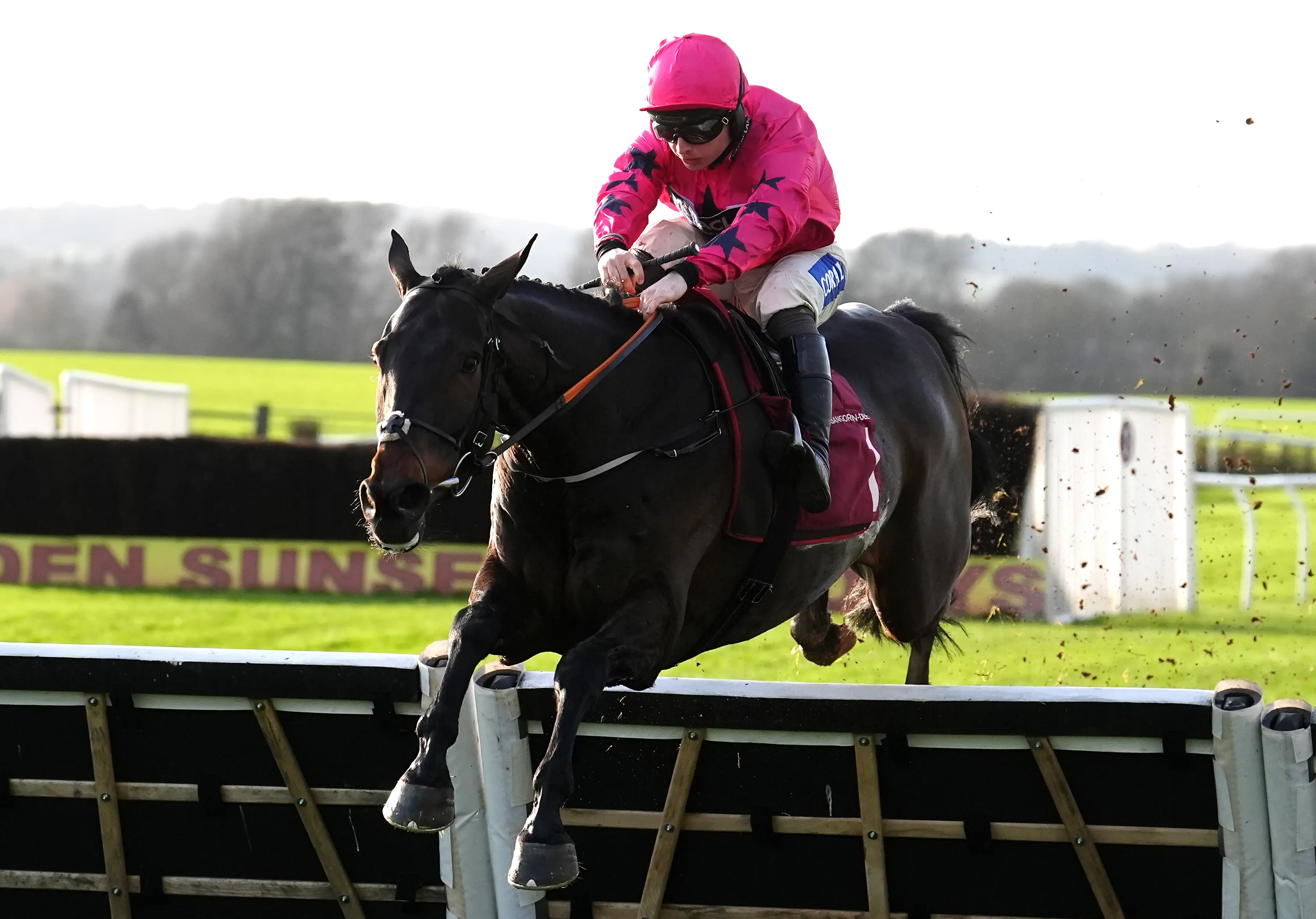 Olly Murphy has grand plans for Junker d’Allier