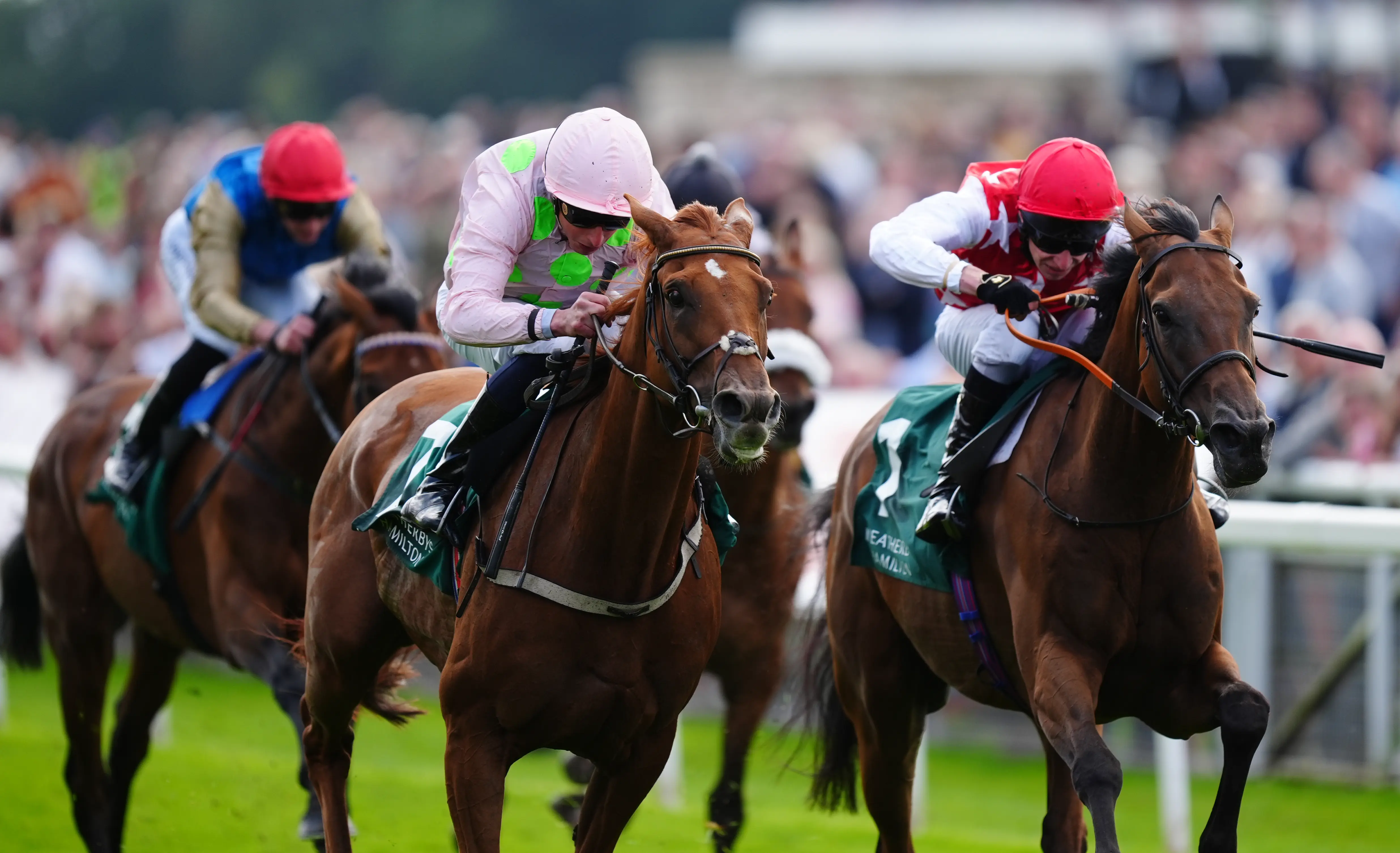 Newmarket on Thursday: Clover backing Al Nayyir to bloom