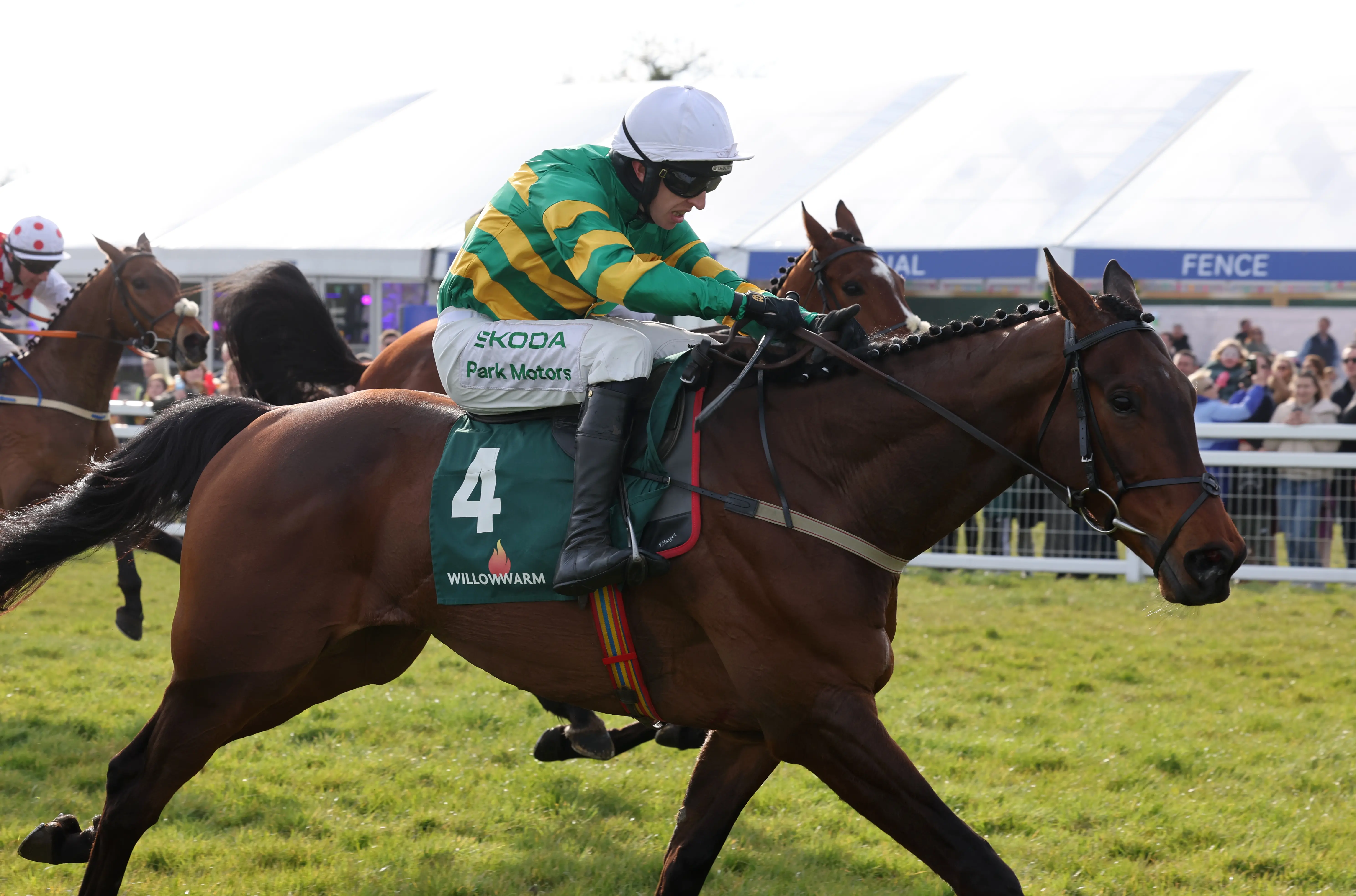 King George VI Chase: what connections say and video tip