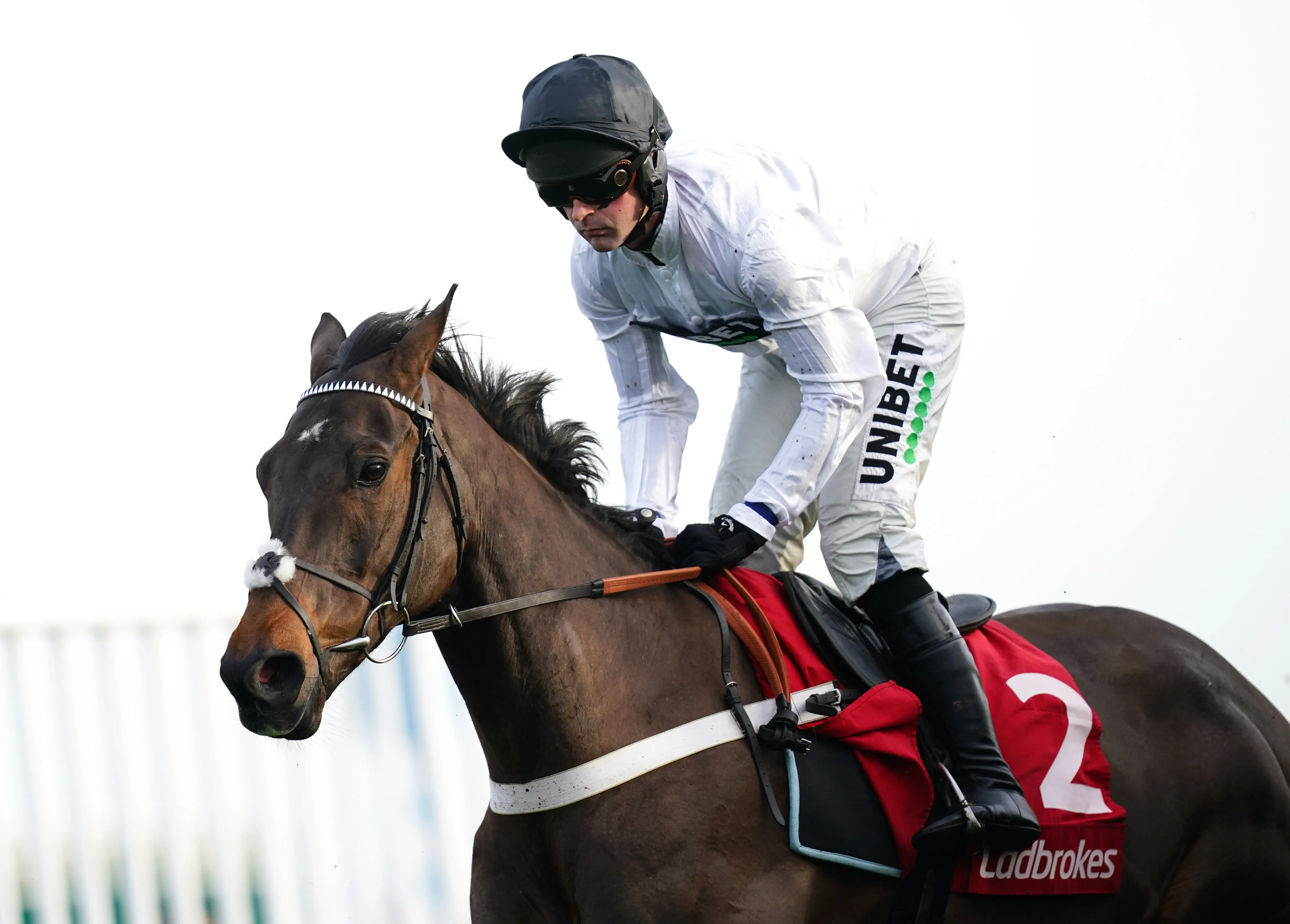 Constitution Hill only fifth as Stingray wins Gran Premio del Jockey Club