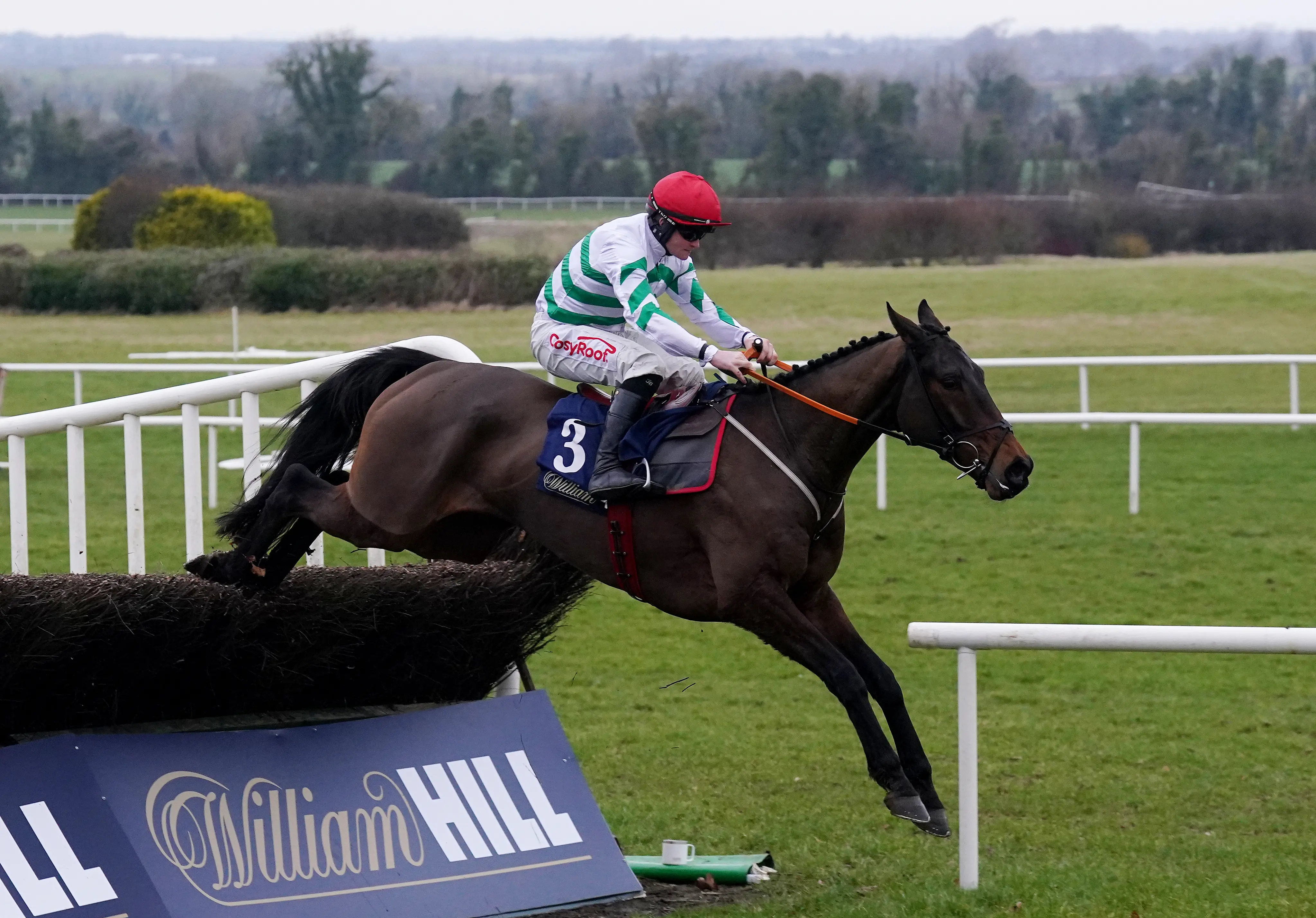 Better Days Ahead holds off stablemate Stellar Story at Navan