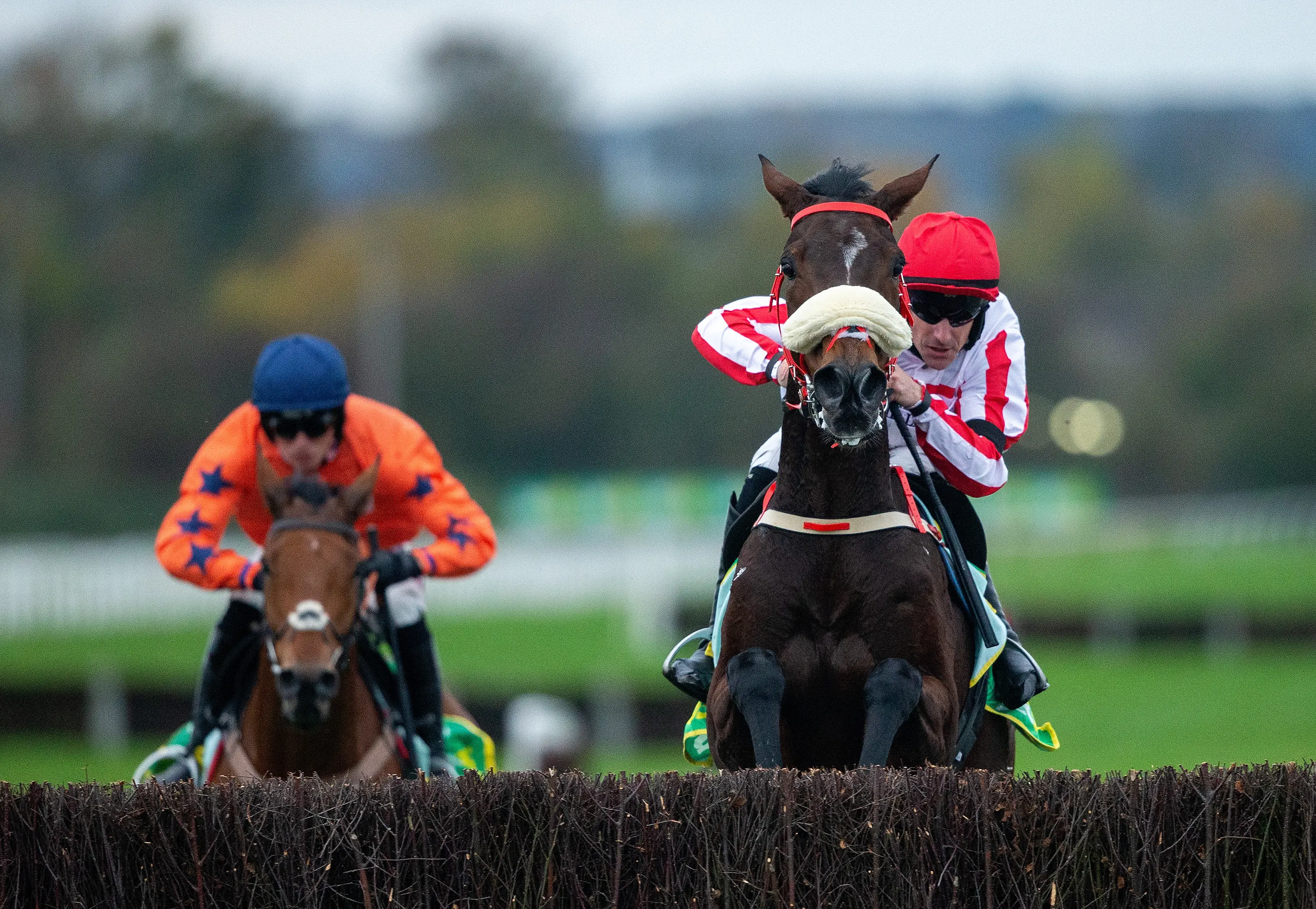 Neville backing The Real Whacker to belie big Gold Cup odds