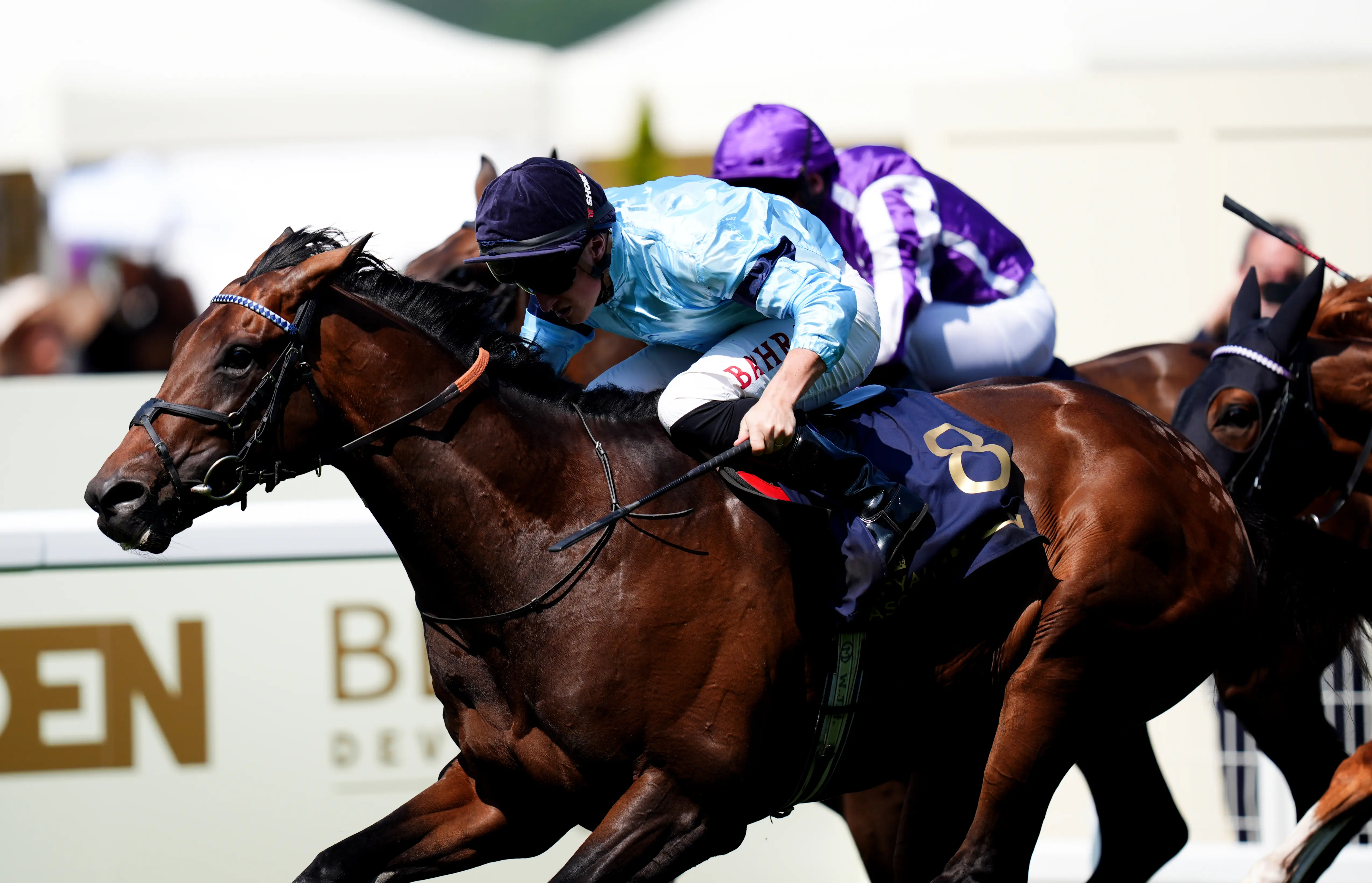 Merchant has Gordon Stakes at Goodwood on agenda