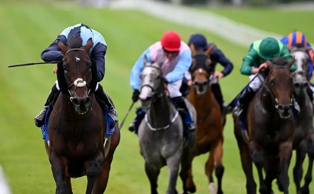 Al Riffa makes class count with stylish Curragh Cup win