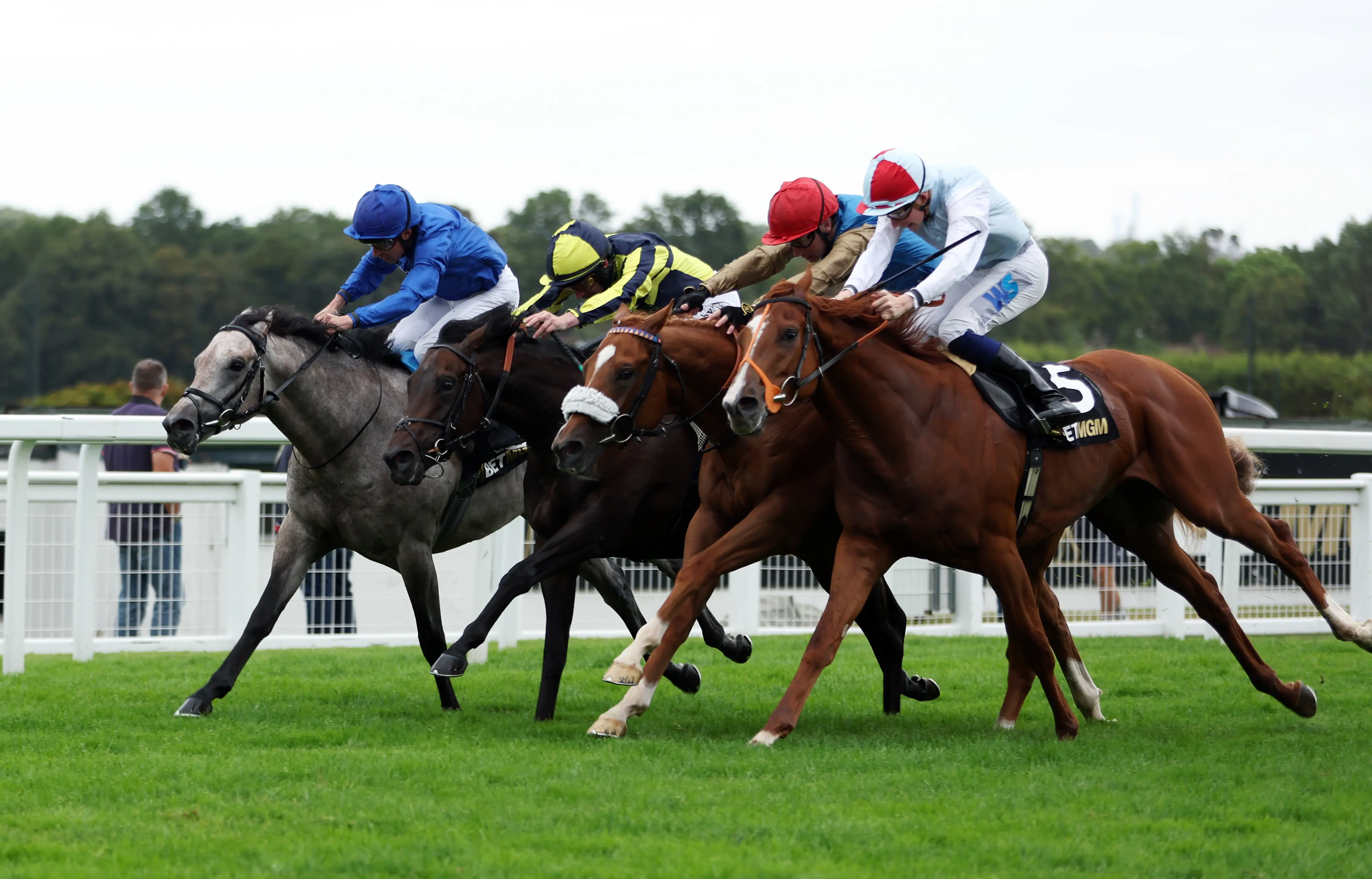 Clive Cox: high hopes for my star pair of juveniles