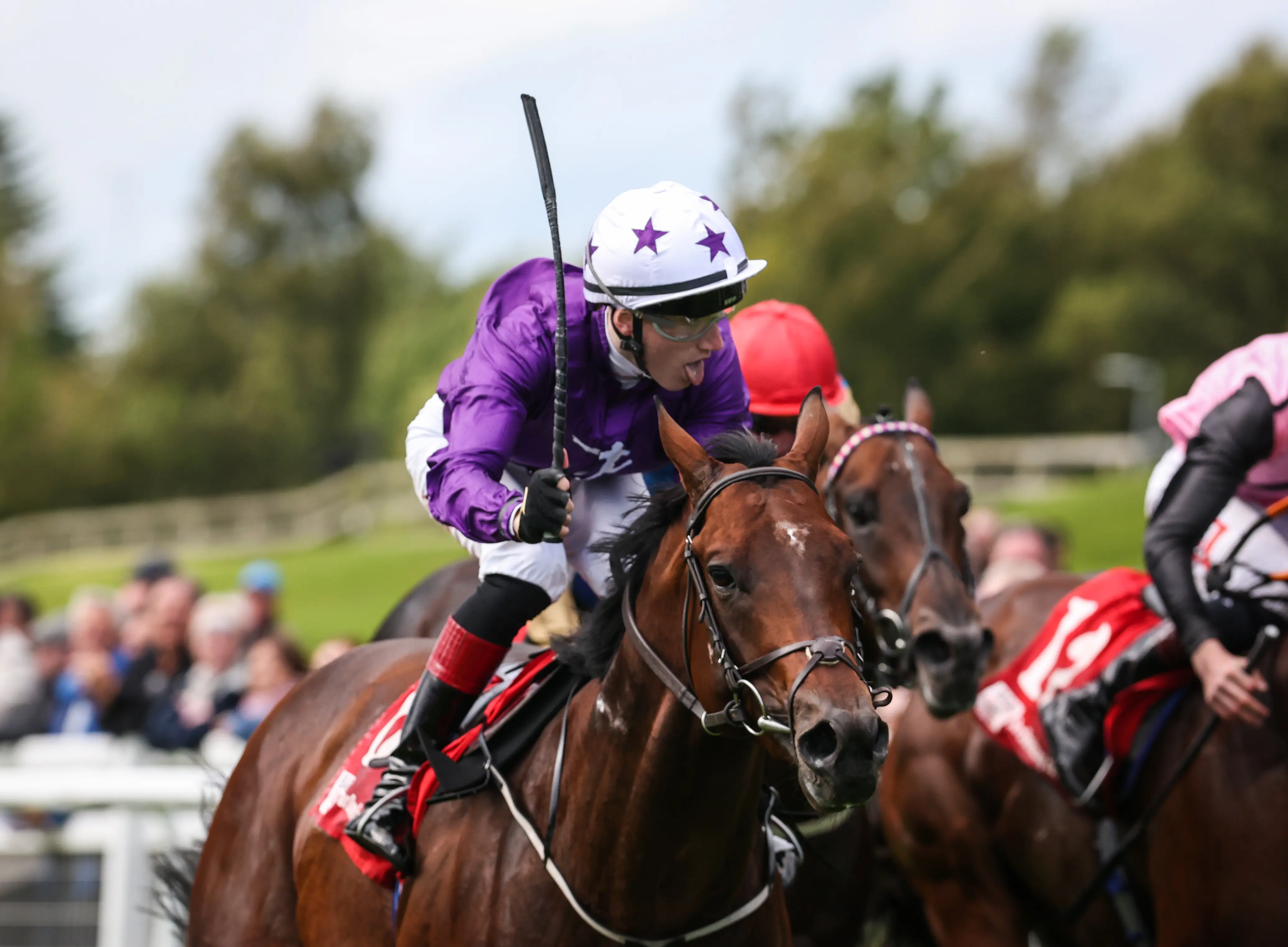 Amo Racing's stable stars on course for Breeders' Cup